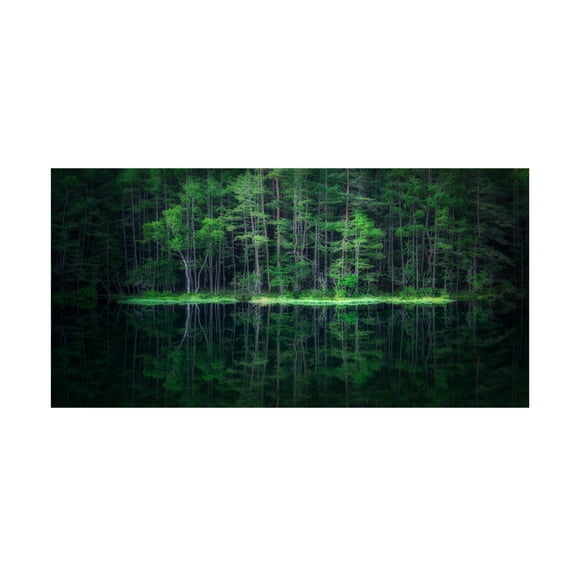 Canvas Wall Art - Takeshi Mitamura 'Green World' Wall Art for Living Room, Bedroom, or Office Décor by Trademark Fine Art - 19 x 10 Inches