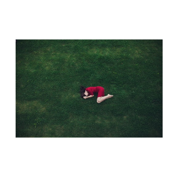 Canvas Wall Art - Tatiana Koshutina 'In Red' Wall Art for Living Room, Bedroom, or Office D?cor by Trademark Fine Art - 19 x 12 Inches