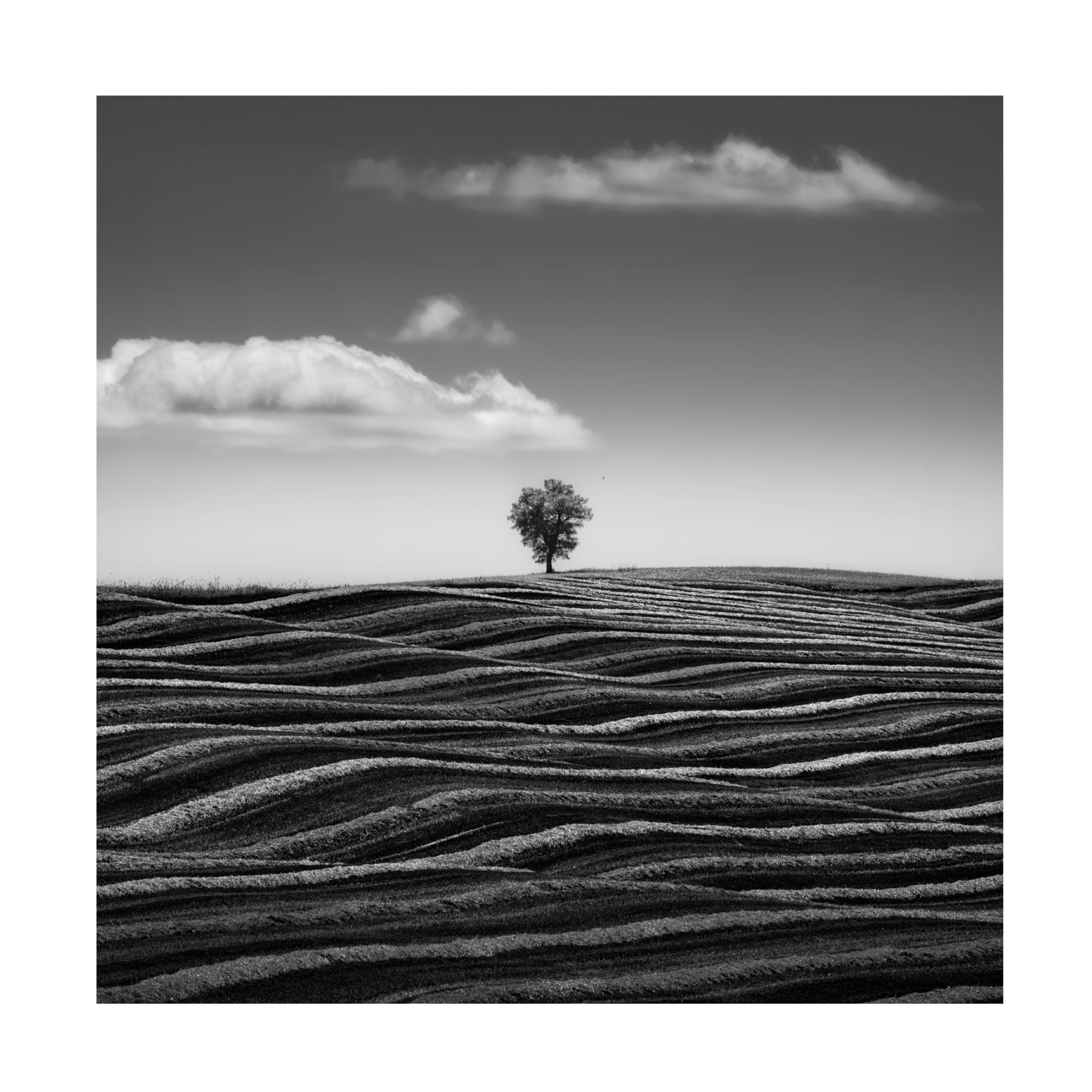 Canvas Wall Art - Thomas De Franzoni 'Empire Of Loneliness' Wall Art for Living Room, Bedroom, or Office D?cor by Trademark Fine Art - 24 x 24 Inches