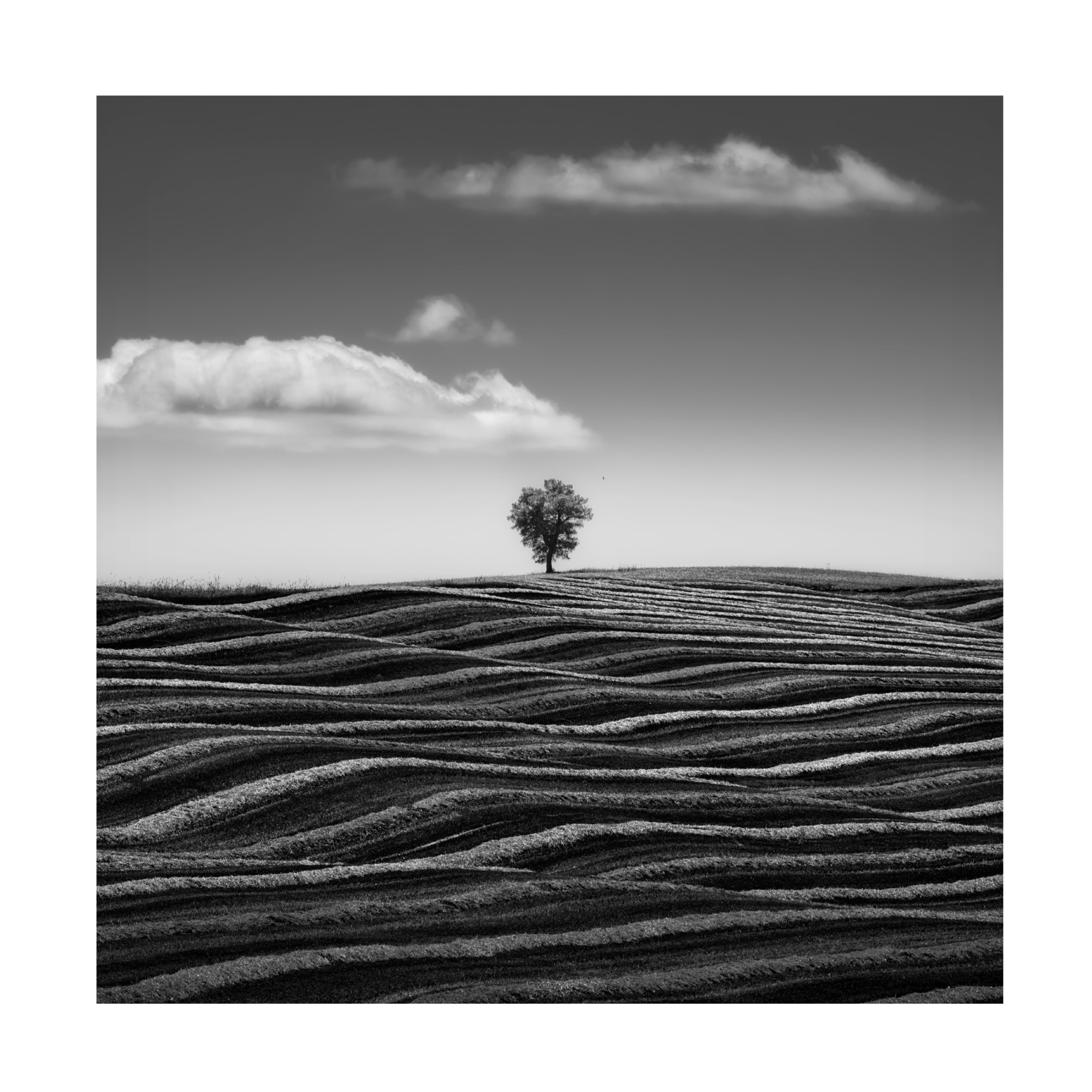 Canvas Wall Art - Thomas De Franzoni 'Empire Of Loneliness' Wall Art for Living Room, Bedroom, or Office D?cor by Trademark Fine Art - 35 x 35 Inches