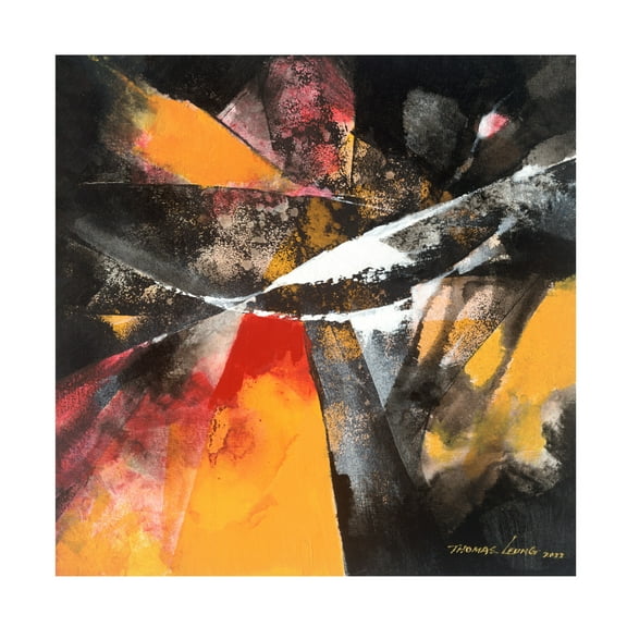 Canvas Wall Art - Thomas Leung 'Amazing 1' Wall Art for Living Room, Bedroom, or Office Décor by Trademark Fine Art - 14 x 14 Inches