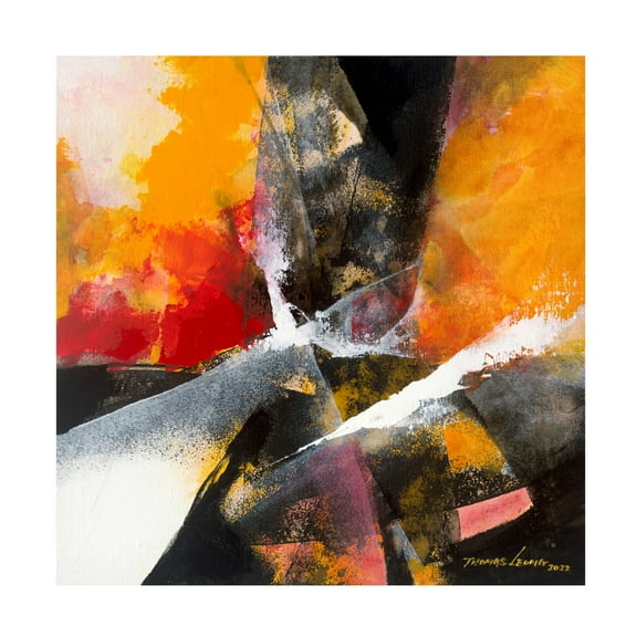 Canvas Wall Art - Thomas Leung 'Amazing 2' Wall Art for Living Room, Bedroom, or Office Décor by Trademark Fine Art - 14 x 14 Inches