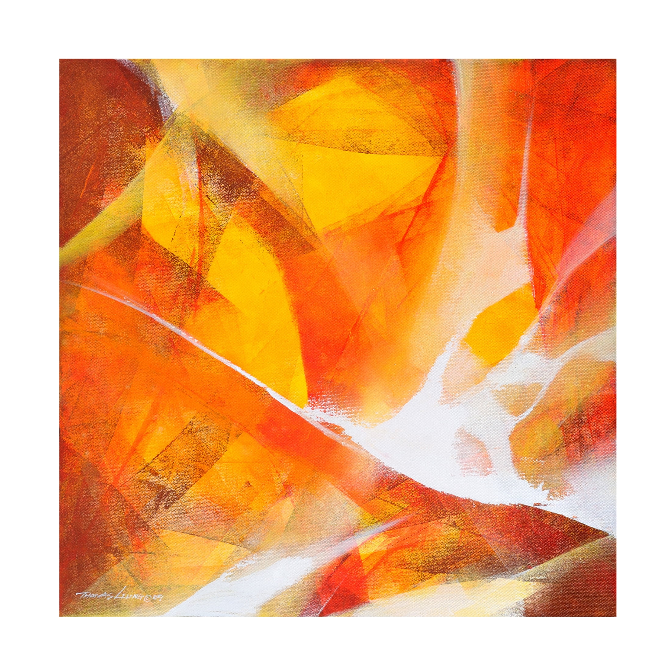 Canvas Wall Art - Thomas Leung 'Fly Up' Wall Art for Living Room, Bedroom, or Office Décor by Trademark Fine Art - 24 x 24 Inches