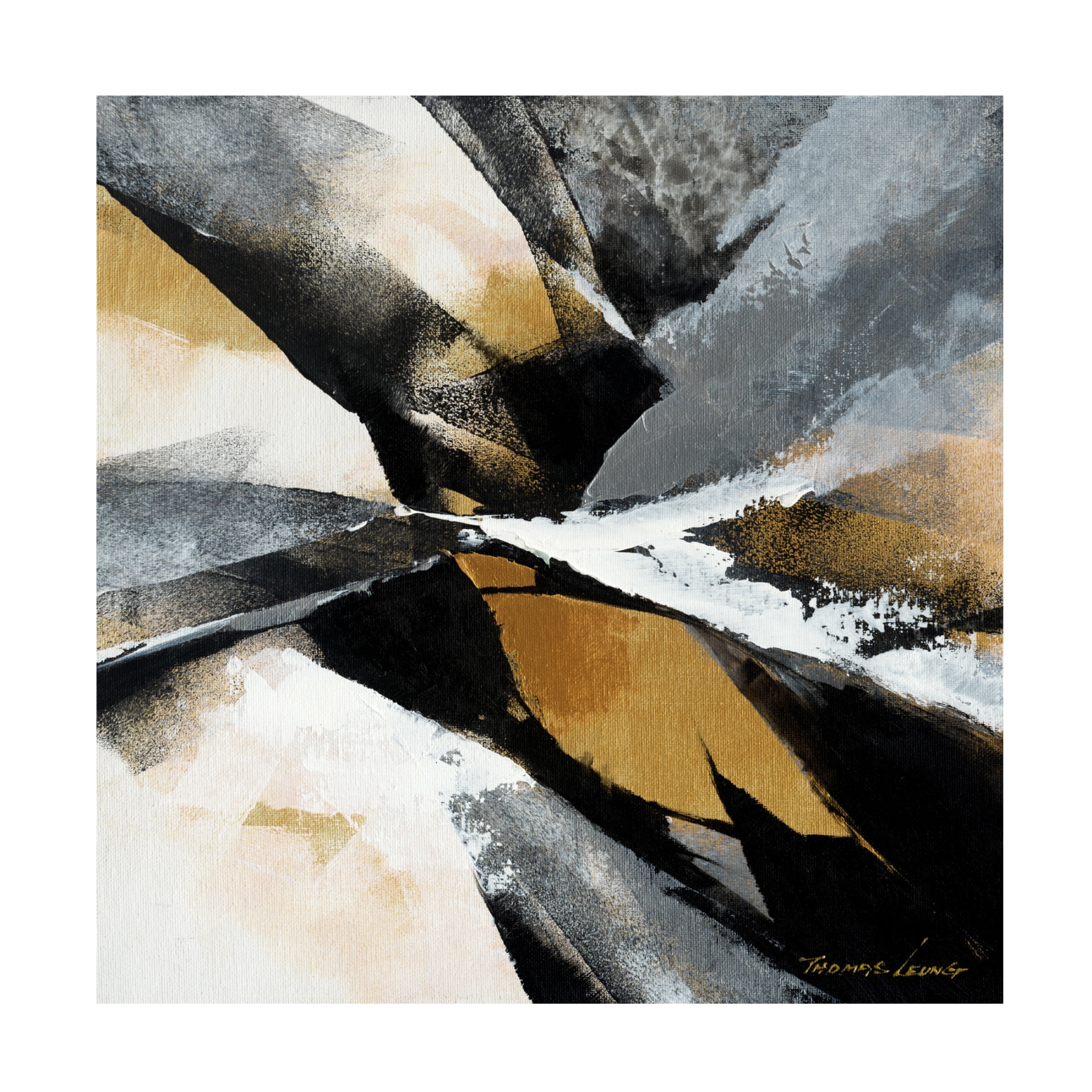 Canvas Wall Art - Thomas Leung 'Gold Fusion 2' Wall Art for Living Room, Bedroom, or Office Décor by Trademark Fine Art - 14 x 14 Inches