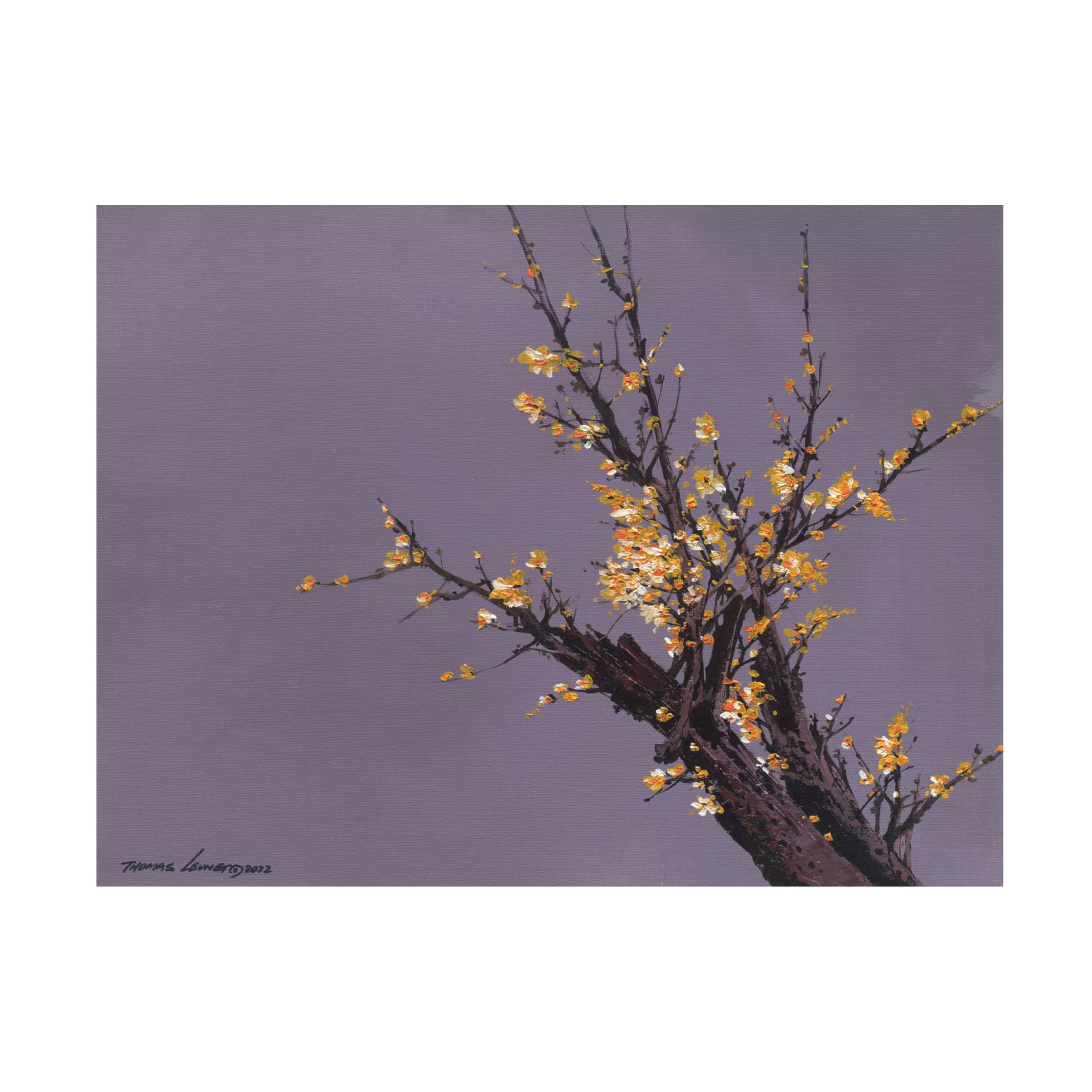 Canvas Wall Art - Thomas Leung 'Little Plum Flowers' Wall Art for Living Room, Bedroom, or Office Décor by Trademark Fine Art - 32 x 24 Inches