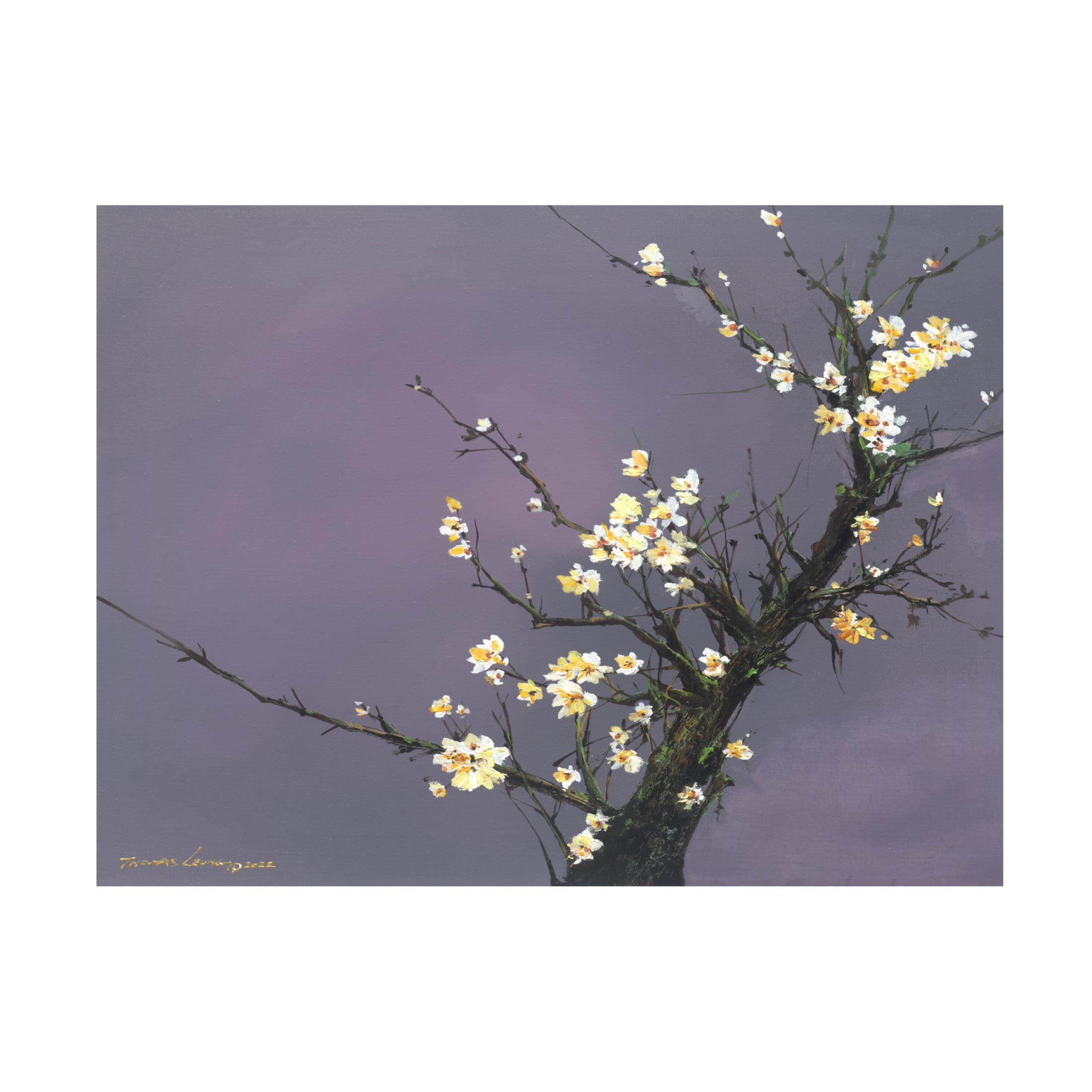 Canvas Wall Art - Thomas Leung 'White Blossom' Wall Art for Living Room, Bedroom, or Office Décor by Trademark Fine Art - 47 x 35 Inches