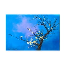 Canvas Wall Art - Thomas Leung 'White Peach Tree' Wall Art for Living Room, Bedroom, or Office Décor by Trademark Fine Art - 19 x 12 Inches