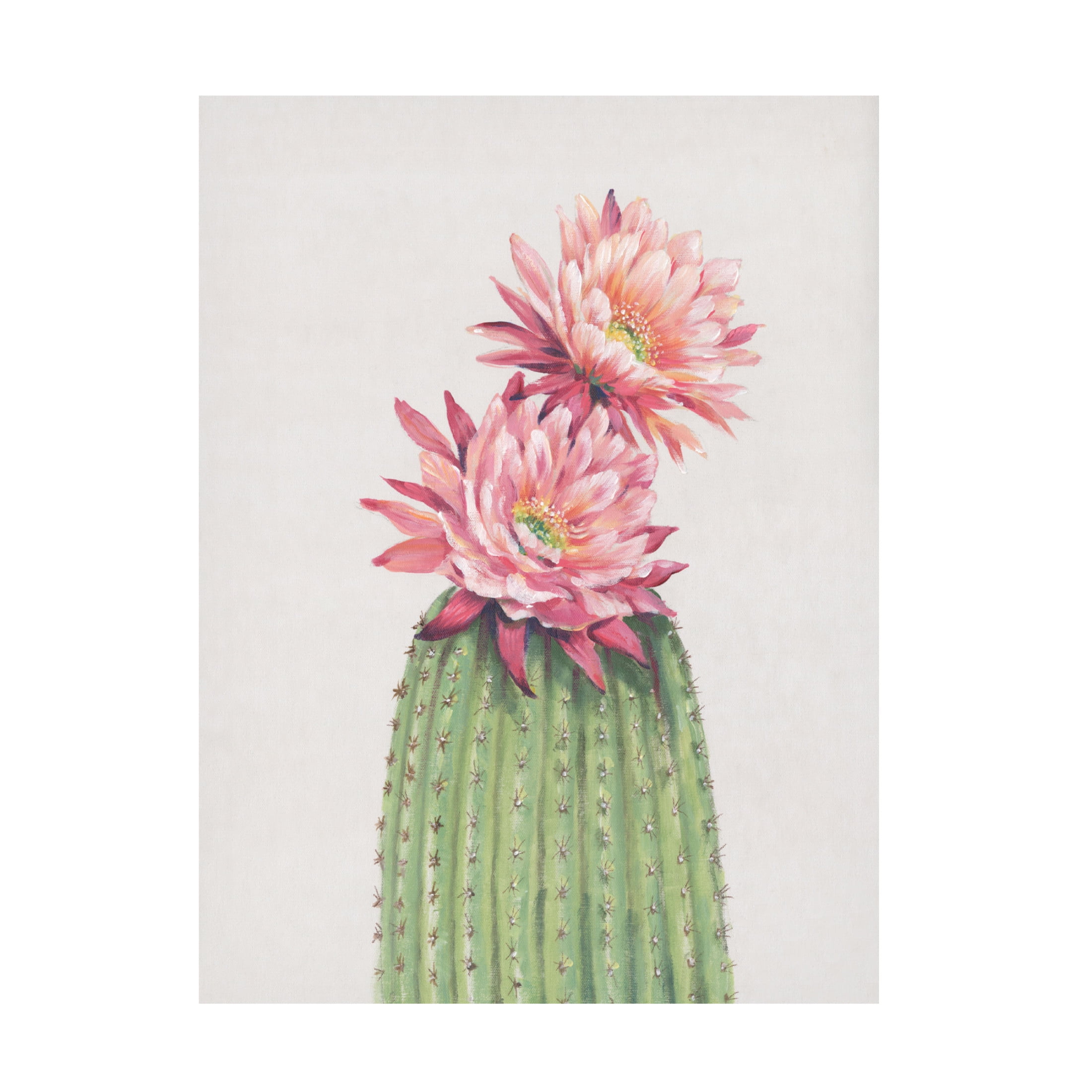 Canvas Wall Art - Tim OToole 'Cactus Blossom II' Wall Art for Living Room, Bedroom, or Office Décor by Trademark Fine Art - 18 x 24 Inches