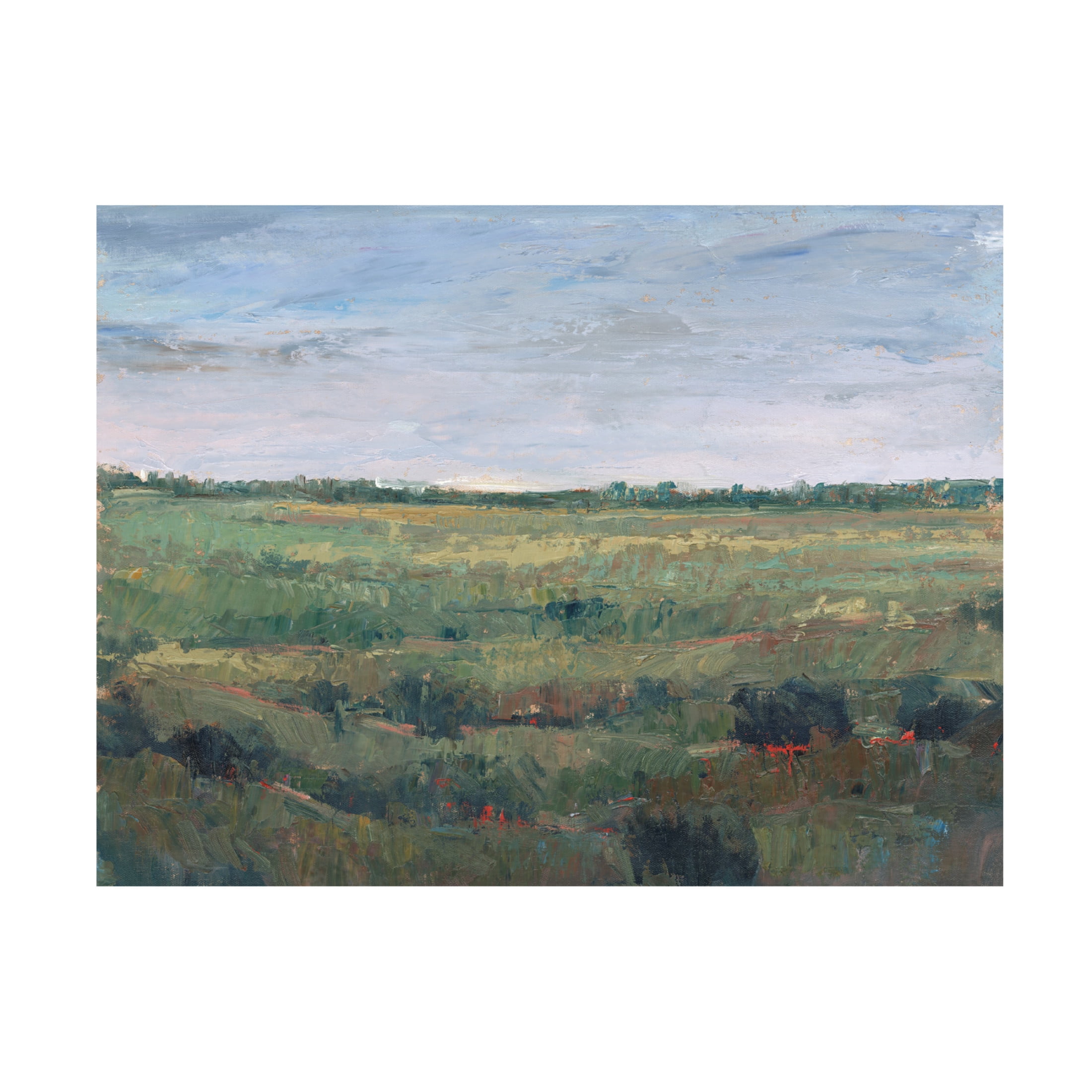 Canvas Wall Art - Tim OToole 'Field Study I' Wall Art for Living Room, Bedroom, or Office Décor by Trademark Fine Art - 19 x 14 Inches