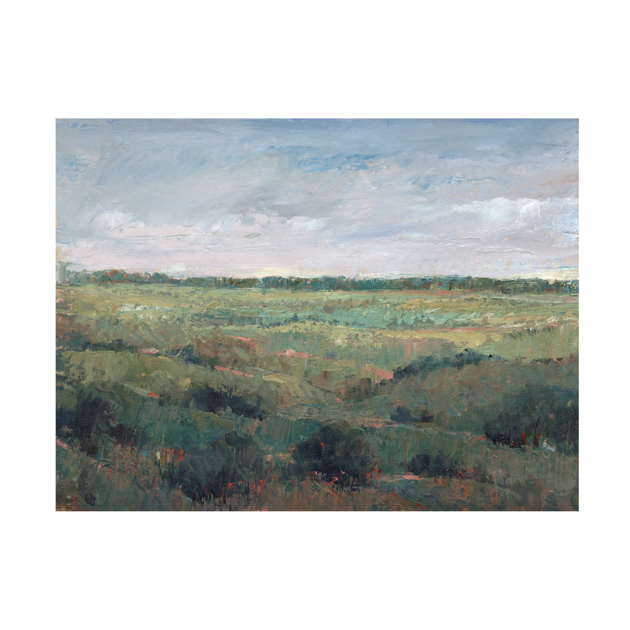 Canvas Wall Art - Tim OToole 'Field Study II' Wall Art for Living Room, Bedroom, or Office Décor by Trademark Fine Art - 47 x 35 Inches