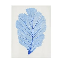 Canvas Wall Art - Tim OToole 'Indigo Sea Fan I' Wall Art for Living Room, Bedroom, or Office Décor by Trademark Fine Art - 14 x 19 Inches