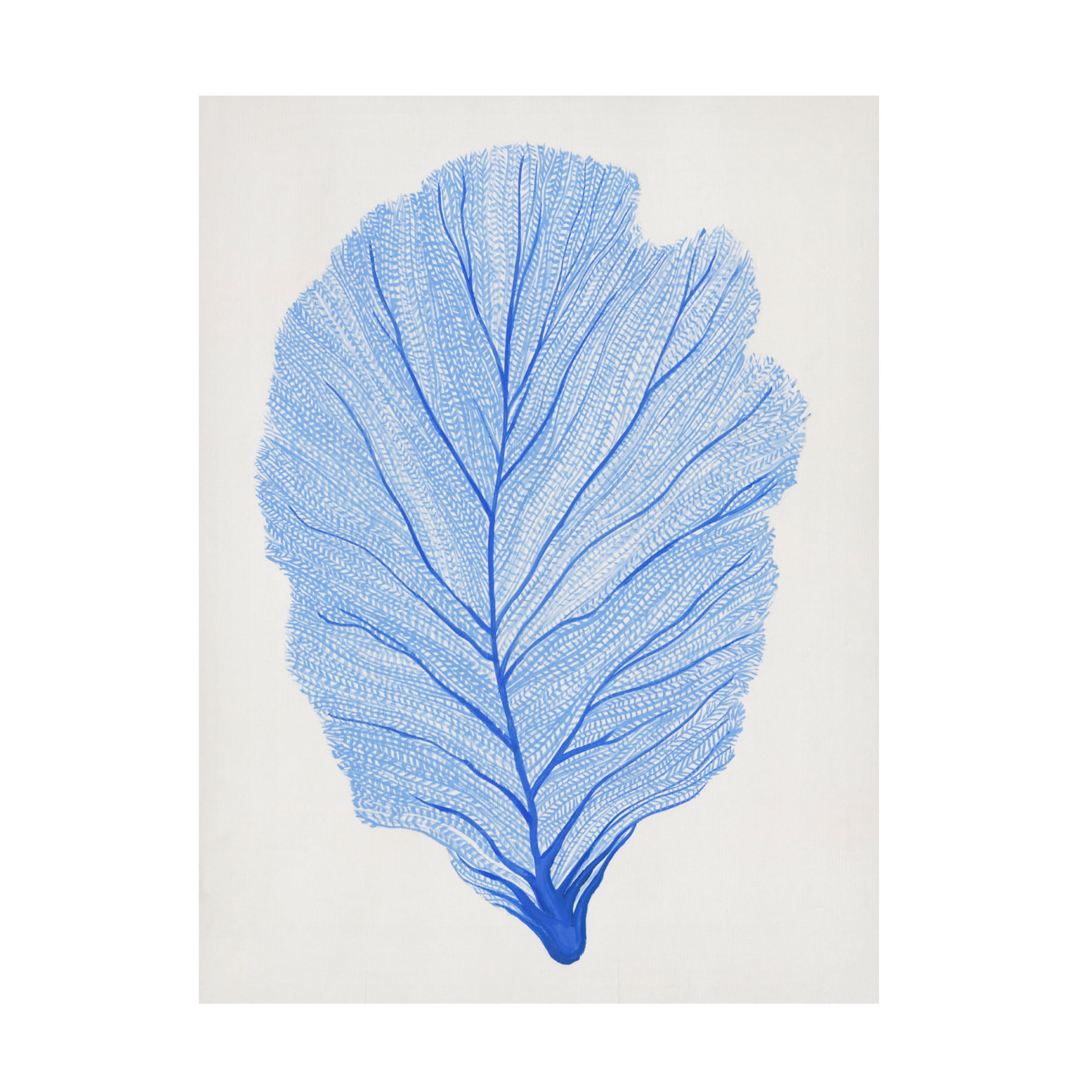 Canvas Wall Art - Tim OToole 'Indigo Sea Fan II' Wall Art for Living Room, Bedroom, or Office Décor by Trademark Fine Art - 35 x 47 Inches