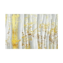 Canvas Wall Art - Tina Lavoie 'Golden Birch' Wall Art for Living Room, Bedroom, or Office Décor by Trademark Fine Art - 19 x 12 Inches