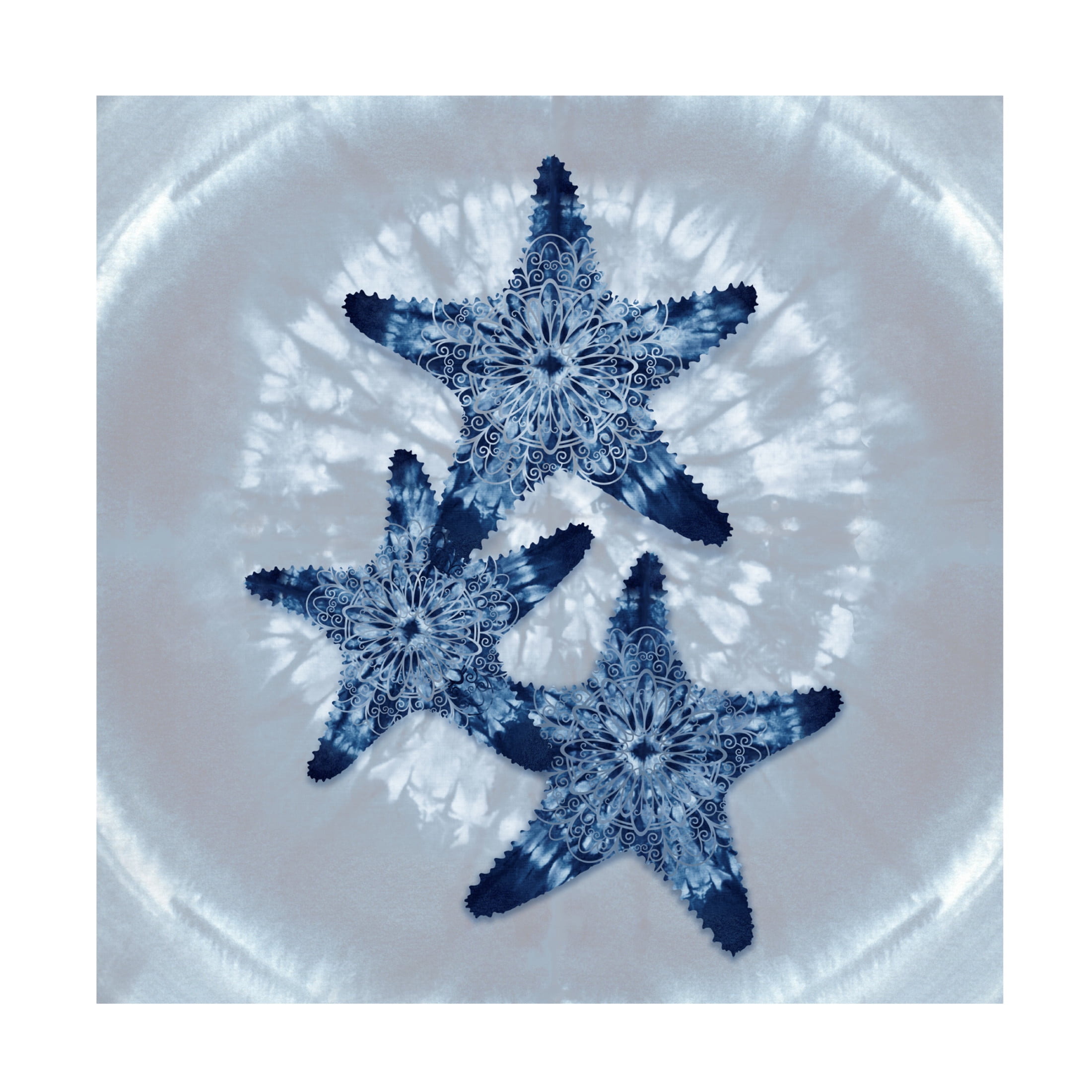 Canvas Wall Art - Tina Lavoie 'Three Starfish Mandala' Wall Art for Living Room, Bedroom, or Office Décor by Trademark Fine Art - 35 x 35 Inches