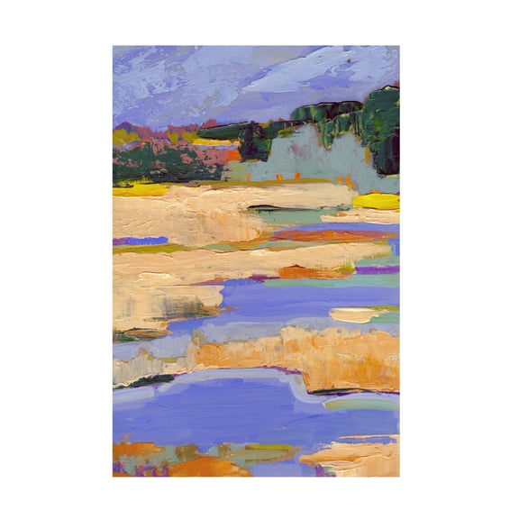 Canvas Wall Art - Toby Gordon 'Marshland' Wall Art for Living Room, Bedroom, or Office Décor by Trademark Fine Art - 16 x 24 Inches