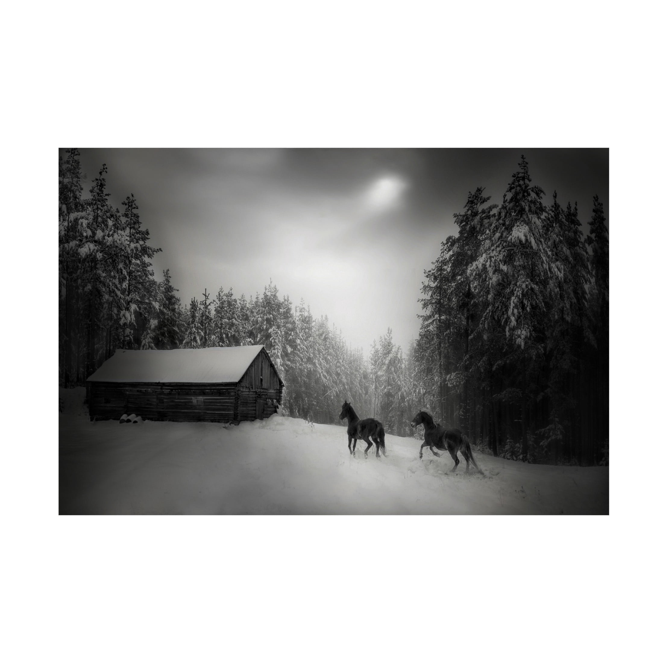 Canvas Wall Art - Todor Tanev 'Paddock Horses' Wall Art for Living Room, Bedroom, or Office D?cor by Trademark Fine Art - 24 x 16 Inches
