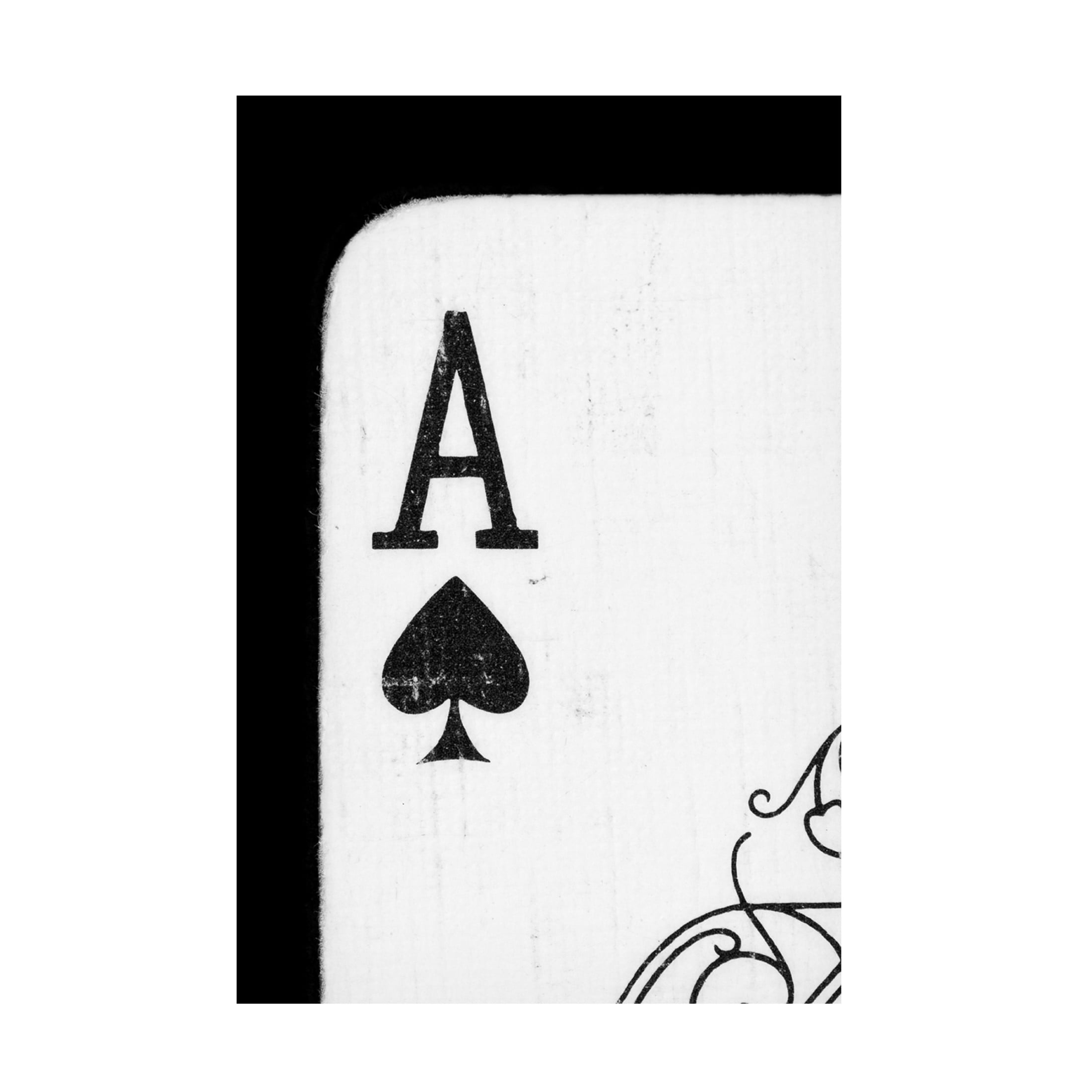 Canvas Wall Art - Tom Quartermaine 'Ace of Spades Close Up' Wall Art for Living Room, Bedroom, or Office Décor by Trademark Fine Art - 16 x 24 Inches