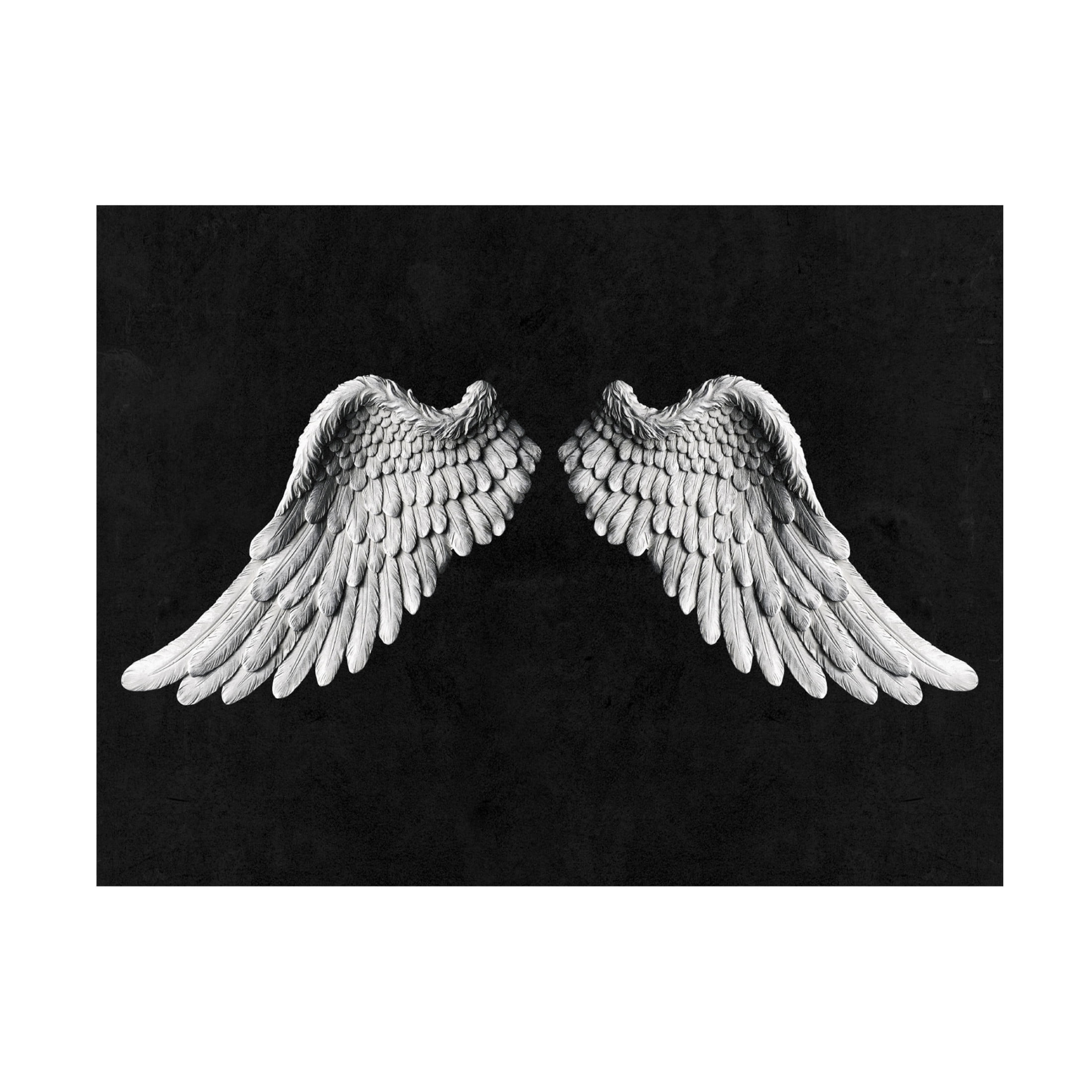 Canvas Wall Art - Tom Quartermaine 'Black and White Angel Wings on Black' Wall Art for Living Room, Bedroom, or Office Décor by Trademark Fine Art - 47 x 35 Inches