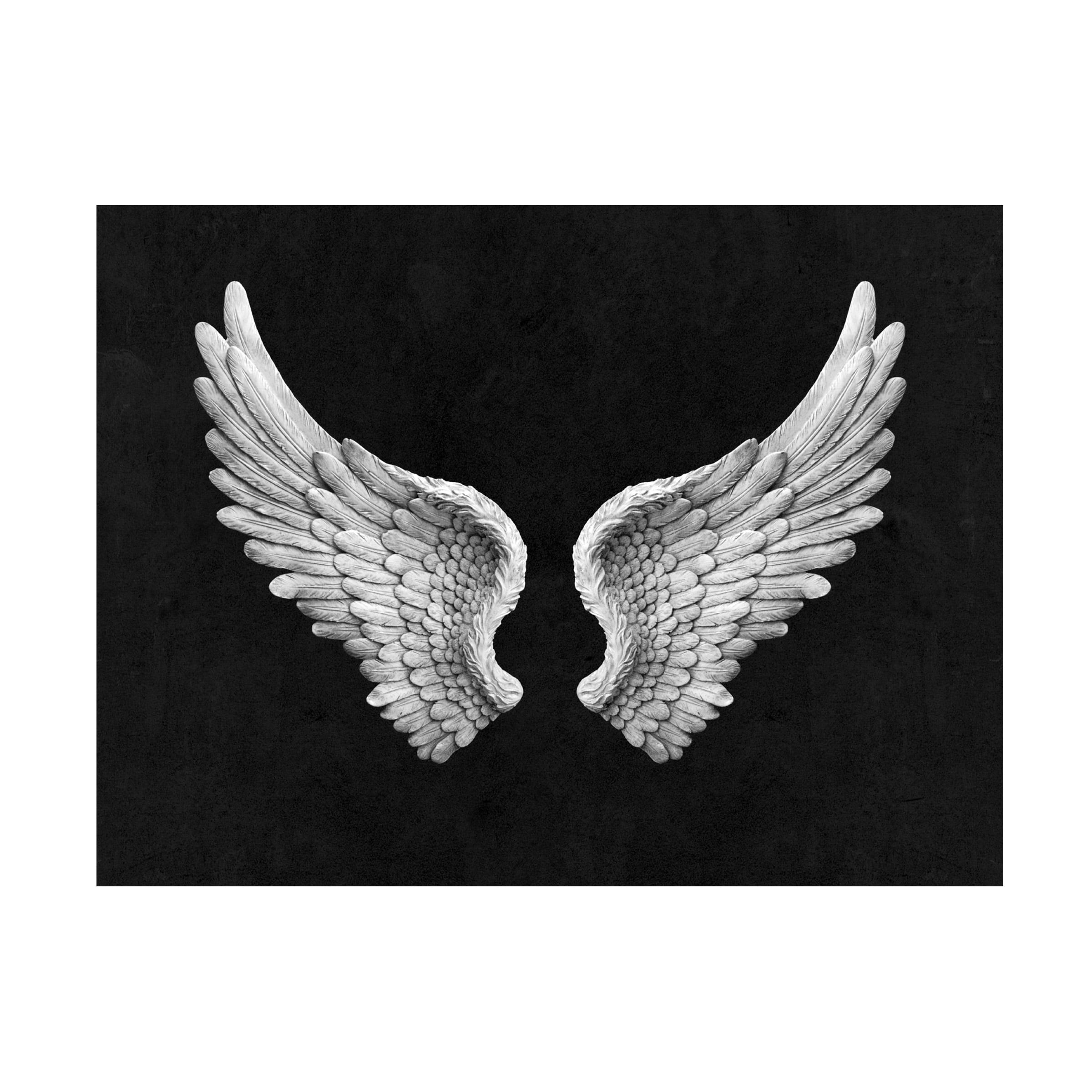 Canvas Wall Art - Tom Quartermaine 'Black and White Angel Wings on Black up' Wall Art for Living Room, Bedroom, or Office DÃ©cor by Trademark Fine Art - 32 x 24 Inches