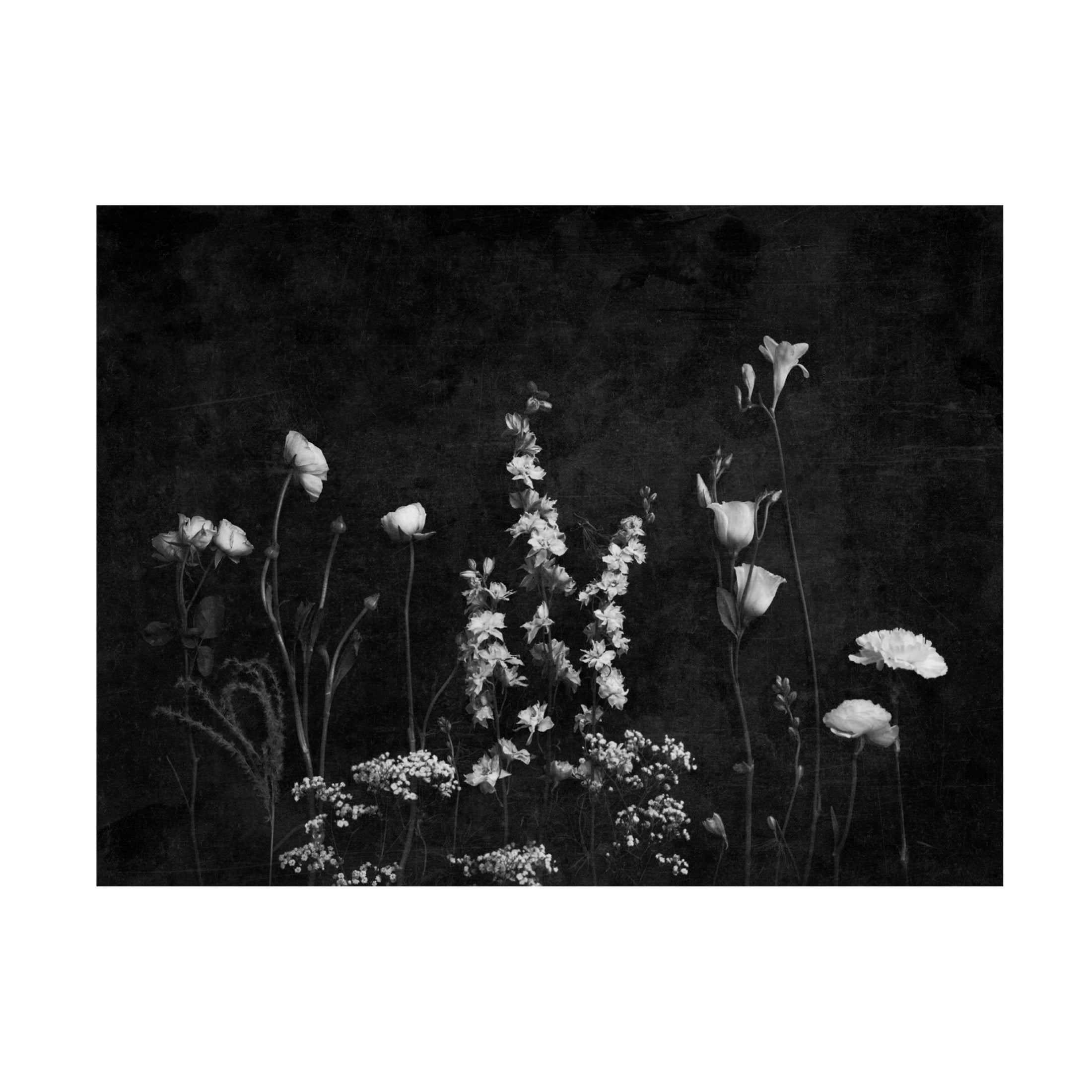 Canvas Wall Art - Tom Quartermaine 'Black and White Botanical Landscape with Texture' Wall Art for Living Room, Bedroom, or Office Décor by Trademark Fine Art - 47 x 35 Inches