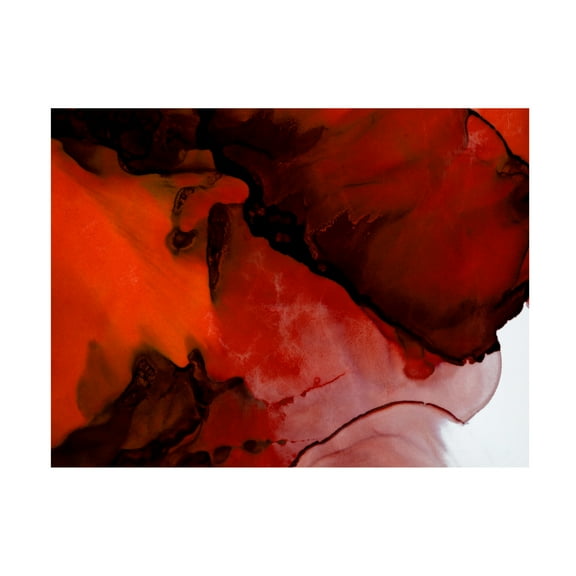 Canvas Wall Art - Tom Quartermaine 'Deep Red Alcohol Ink Abstract' Wall Art for Living Room, Bedroom, or Office Décor by Trademark Fine Art - 19 x 14 Inches