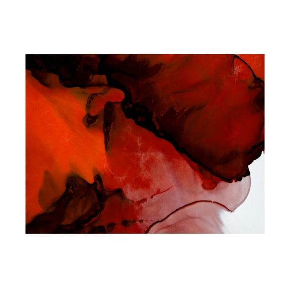 Canvas Wall Art - Tom Quartermaine 'Deep Red Alcohol Ink Abstract' Wall Art for Living Room, Bedroom, or Office Décor by Trademark Fine Art - 24 x 18 Inches