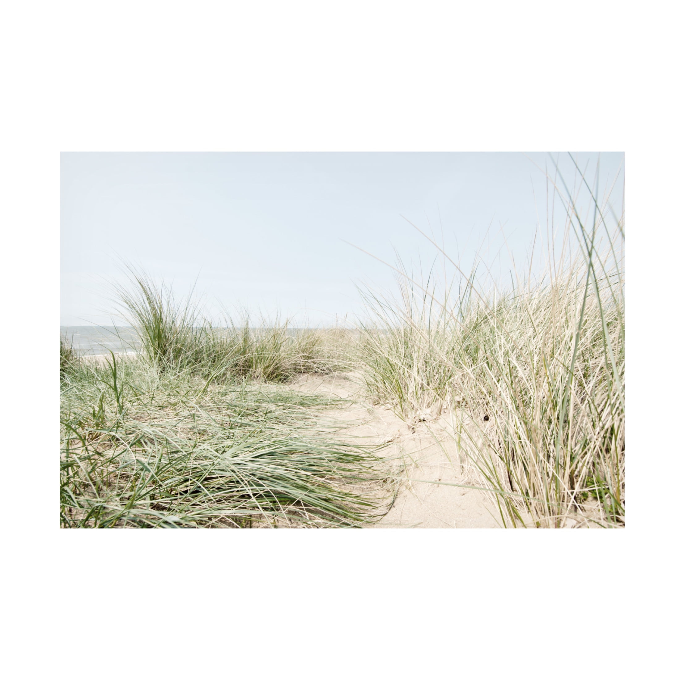 Canvas Wall Art - Tom Quartermaine 'Dunes Path to the Sea' Wall Art for Living Room, Bedroom, or Office Décor by Trademark Fine Art - 32 x 22 Inches