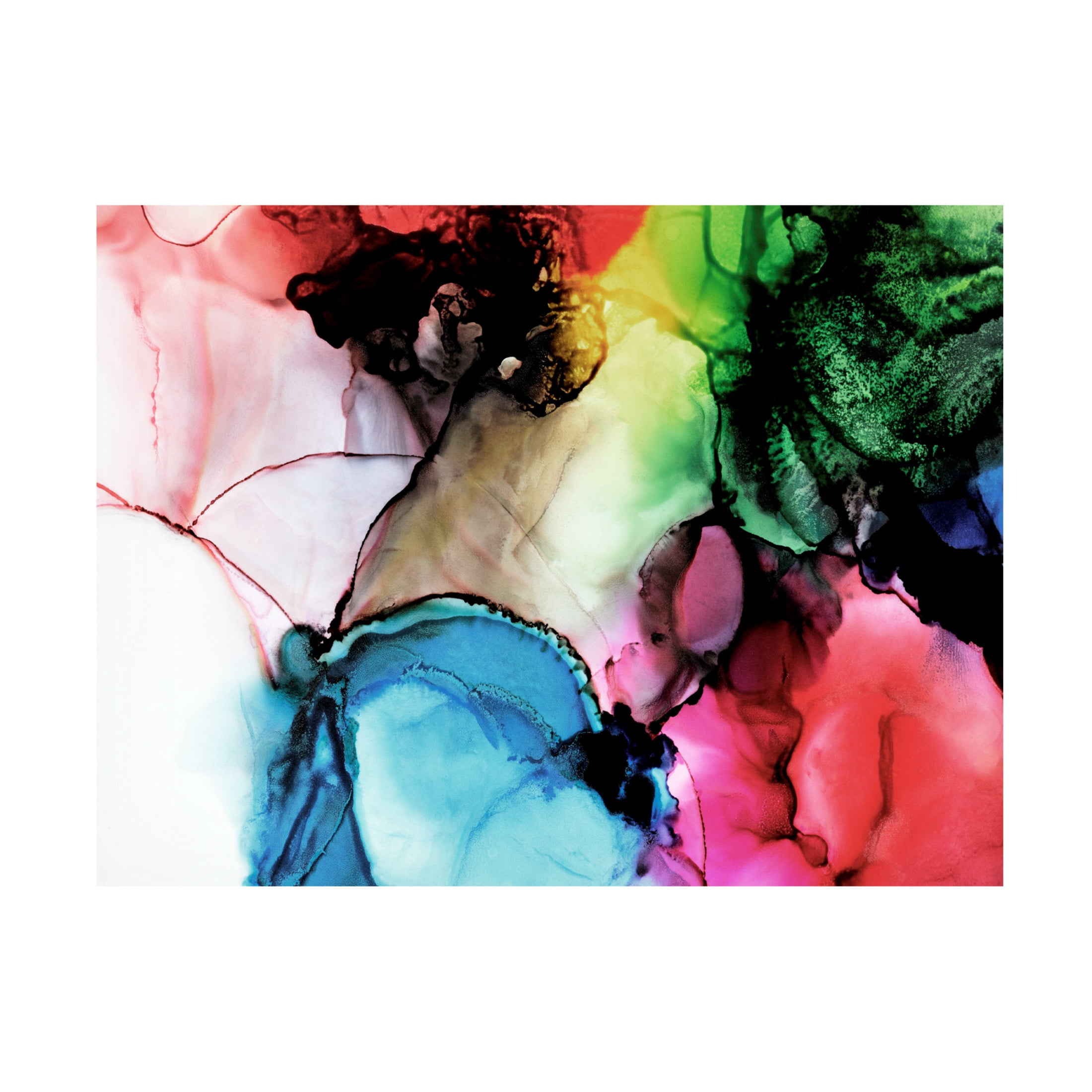 Canvas Wall Art - Tom Quartermaine 'Multiolor Alcohol Ink' Wall Art for Living Room, Bedroom, or Office Décor by Trademark Fine Art - 19 x 14 Inches