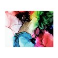 thumbnail image 1 of Canvas Wall Art - Tom Quartermaine 'Multiolor Alcohol Ink' Wall Art for Living Room, Bedroom, or Office Décor by Trademark Fine Art - 32 x 24 Inches, 1 of 4