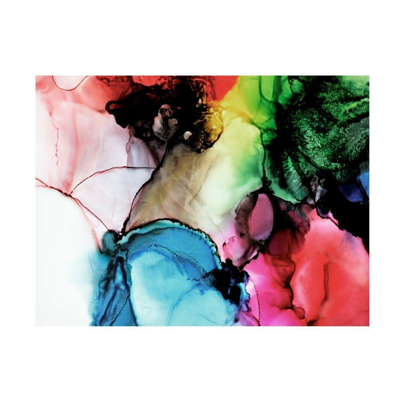 Canvas Wall Art - Tom Quartermaine 'Multiolor Alcohol Ink' Wall Art for Living Room, Bedroom, or Office Décor by Trademark Fine Art - 47 x 35 Inches