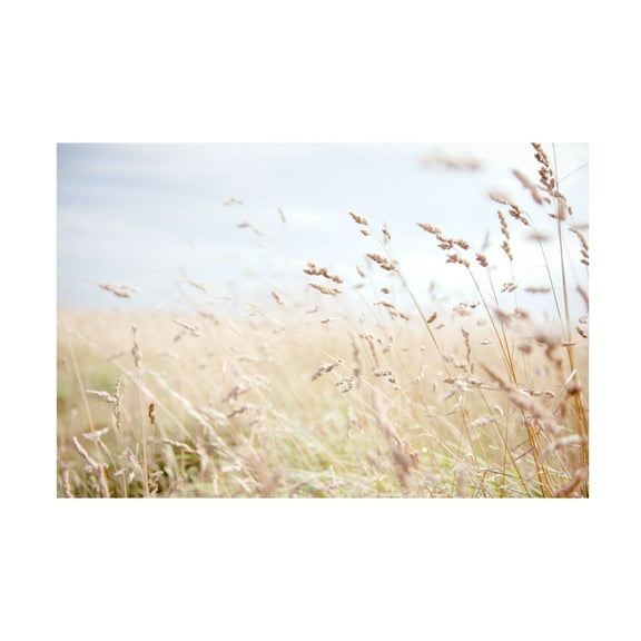 Canvas Wall Art - Tom Quartermaine 'Summer Field' Wall Art for Living Room, Bedroom, or Office Décor by Trademark Fine Art - 19 x 12 Inches