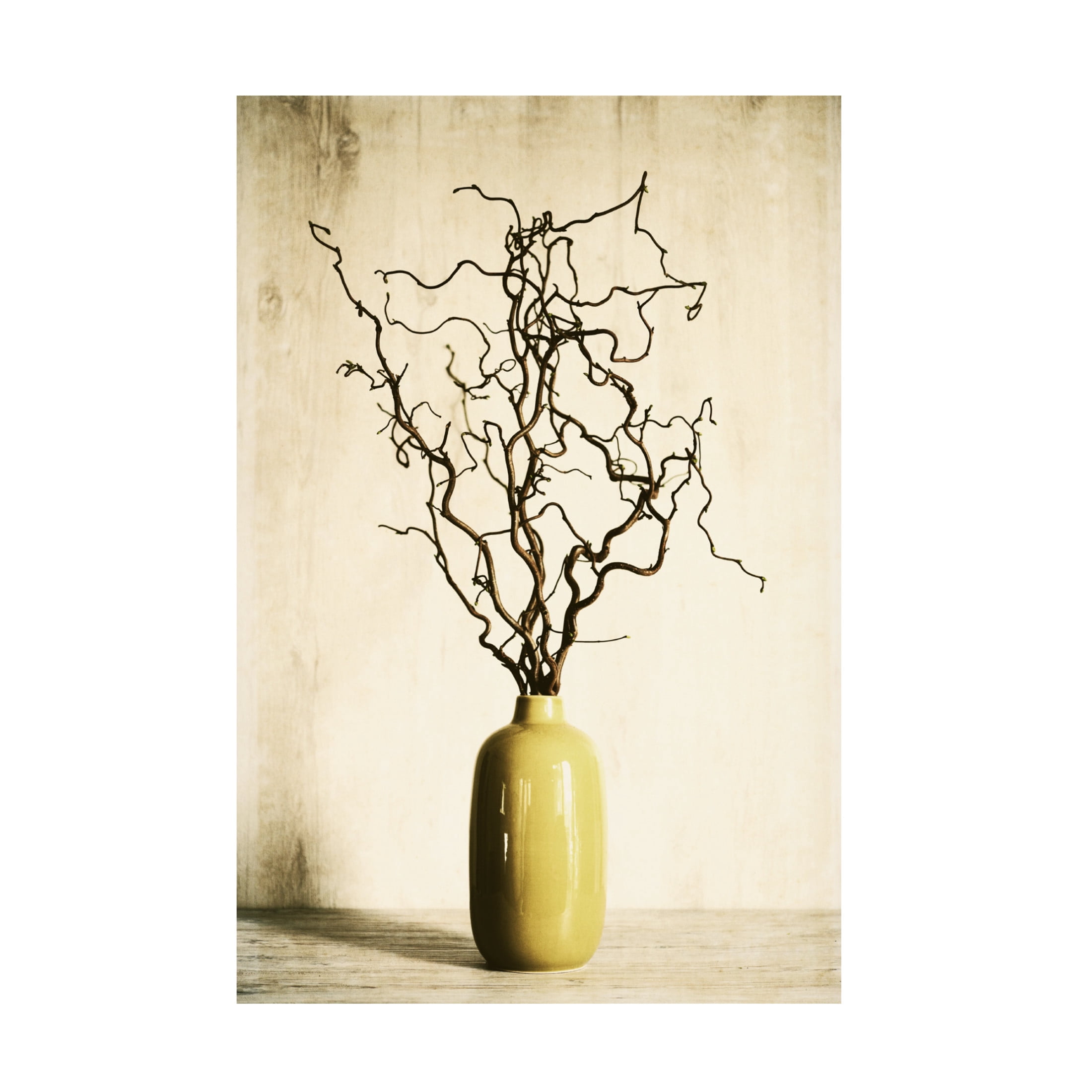 Canvas Wall Art - Tom Quartermaine 'Twigs in Yellow Vintage Style' Wall Art for Living Room, Bedroom, or Office Décor by Trademark Fine Art - 22 x 32 Inches