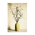 thumbnail image 1 of Canvas Wall Art - Tom Quartermaine 'Twigs in Yellow Vintage Style' Wall Art for Living Room, Bedroom, or Office Décor by Trademark Fine Art - 22 x 32 Inches, 1 of 4