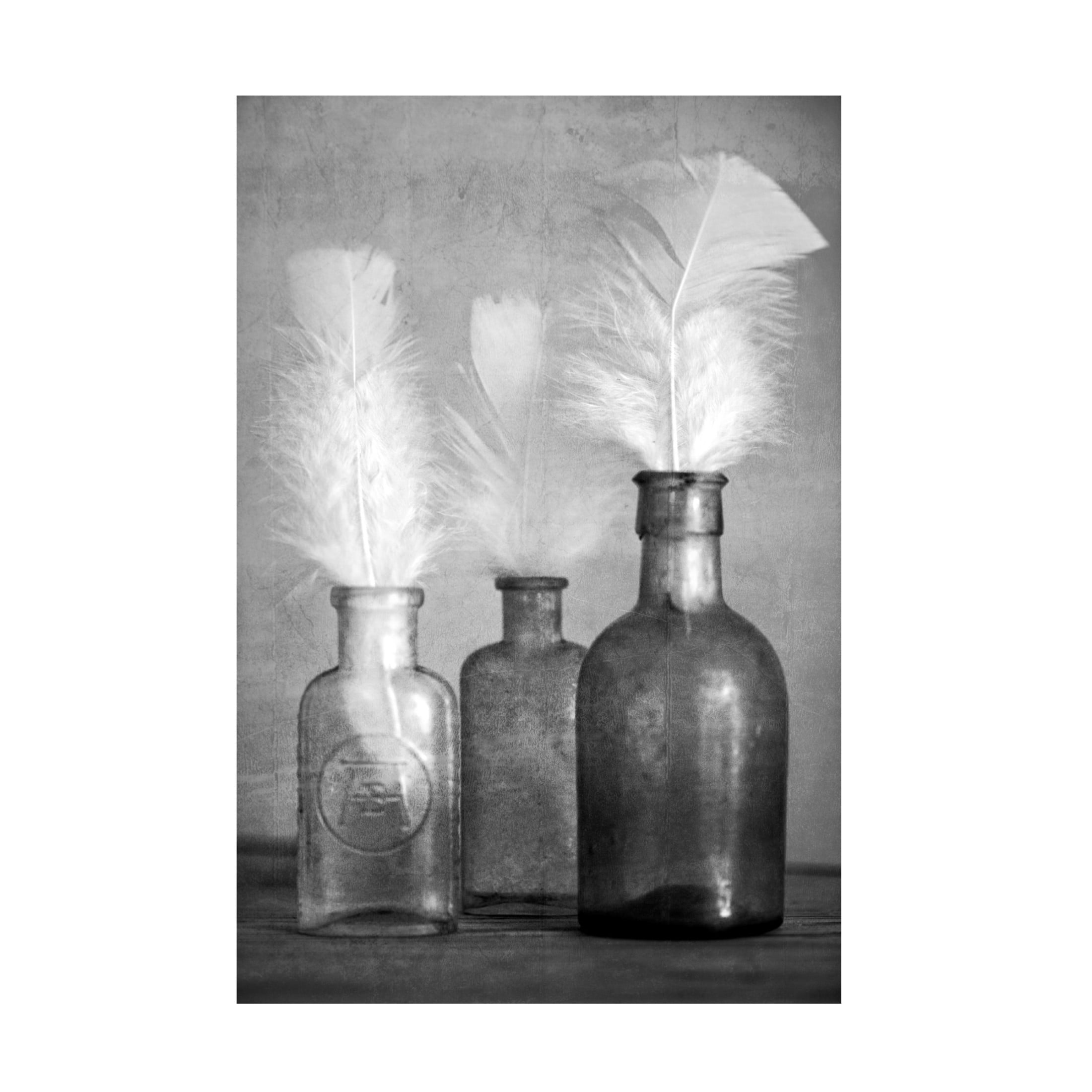 Canvas Wall Art - Tom Quartermaine 'White Feathers in Antique Bottles with Texture' Wall Art for Living Room, Bedroom, or Office Décor by Trademark Fine Art - 22 x 32 Inches