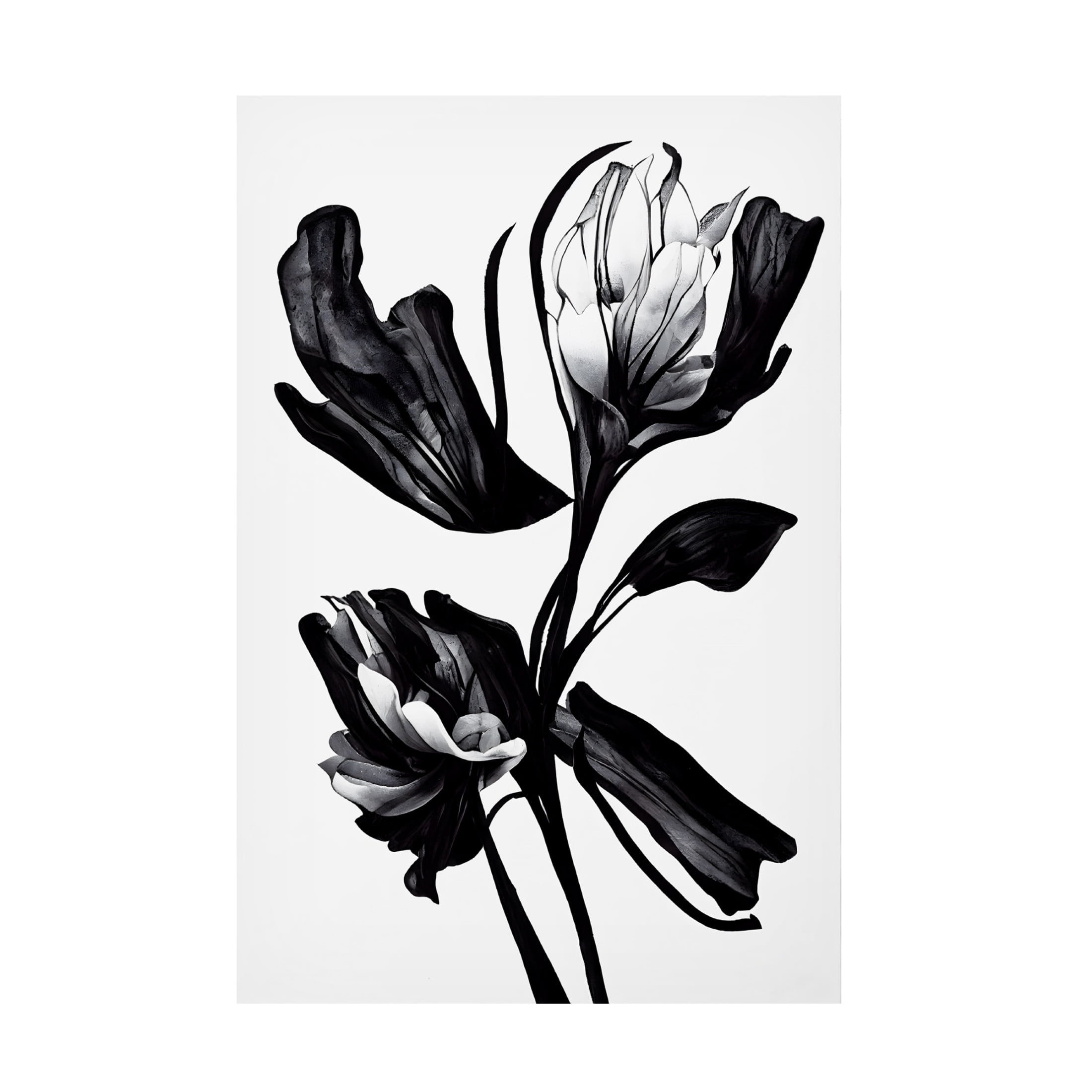 Canvas Wall Art - Treechild 'Black Flower' Wall Art for Living Room, Bedroom, or Office D?cor by Trademark Fine Art - 22 x 32 Inches