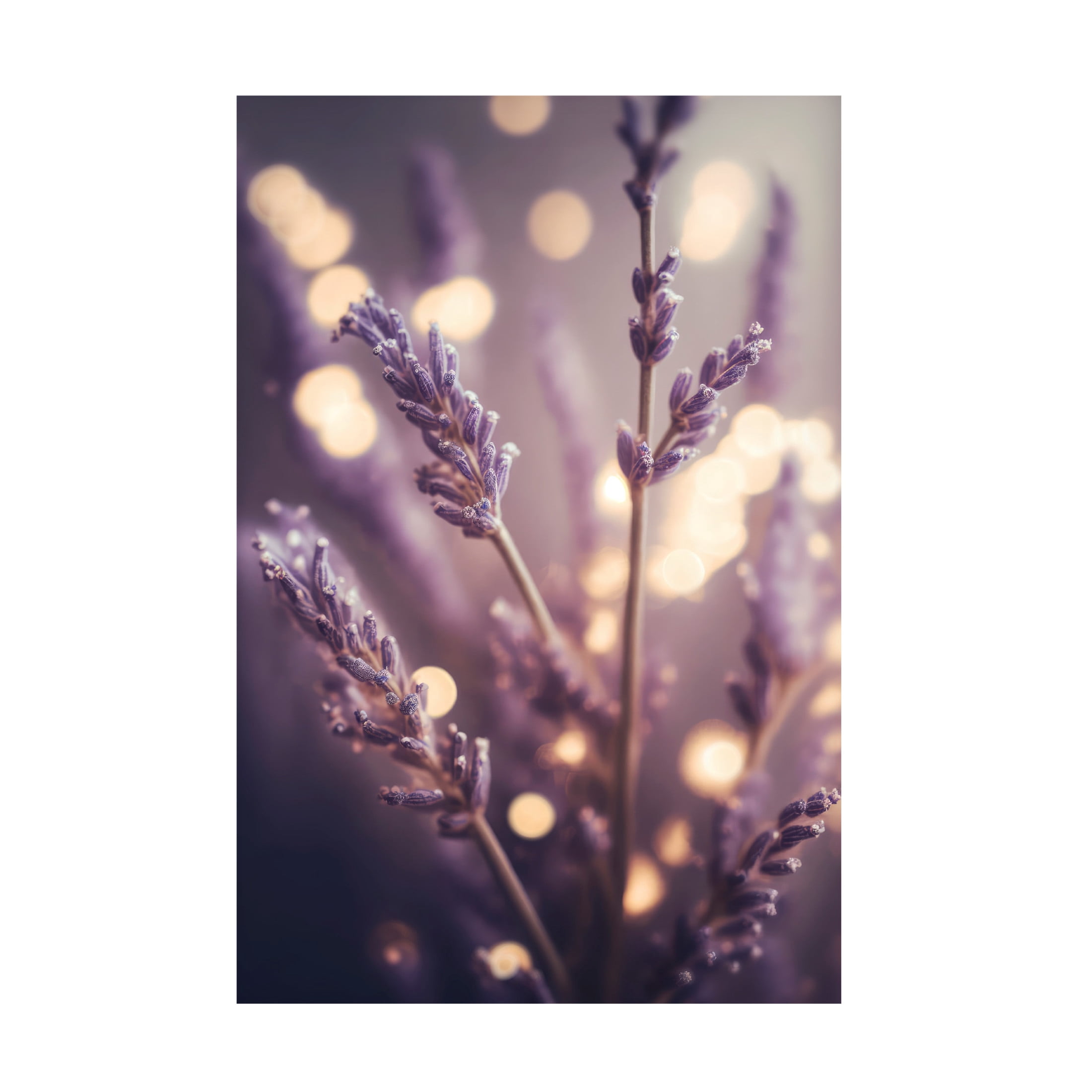 Canvas Wall Art - Treechild 'Lavender Detail' Wall Art for Living Room, Bedroom, or Office D?cor by Trademark Fine Art - 30 x 47 Inches