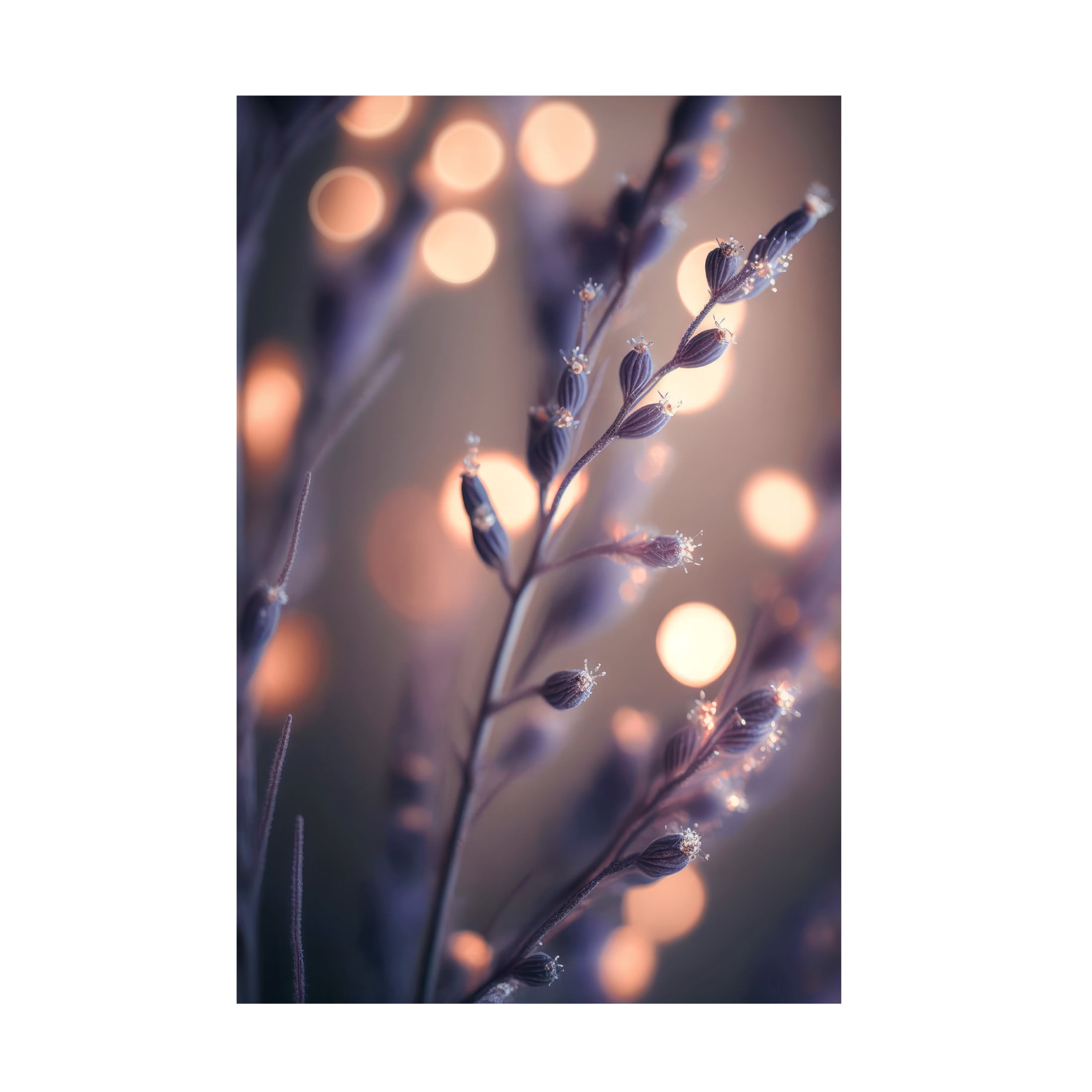 Canvas Wall Art - Treechild 'Lavender Macro' Wall Art for Living Room, Bedroom, or Office D?cor by Trademark Fine Art - 22 x 32 Inches
