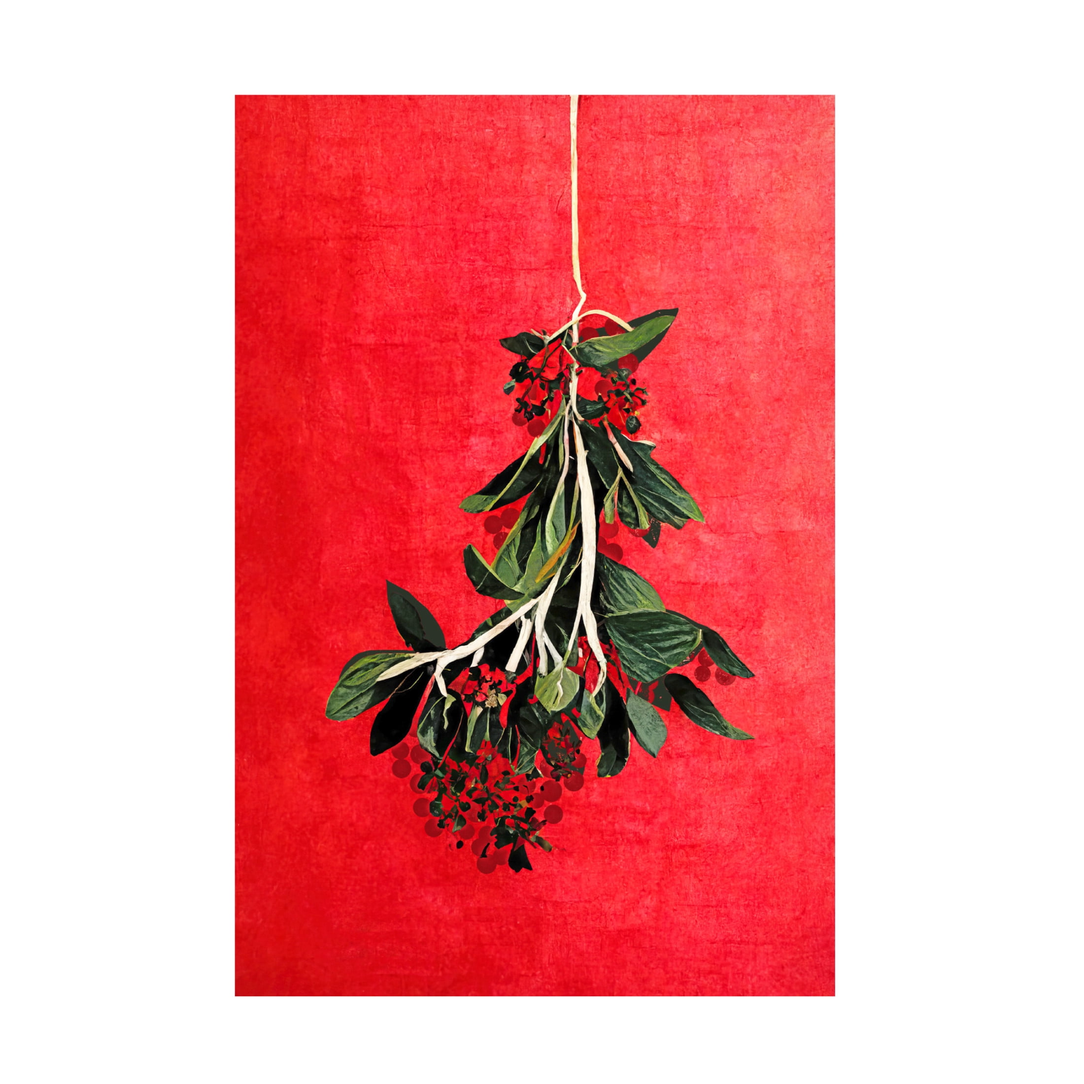 Canvas Wall Art - Treechild 'Painted Mistletoe' Wall Art for Living Room, Bedroom, or Office D?cor by Trademark Fine Art - 30 x 47 Inches