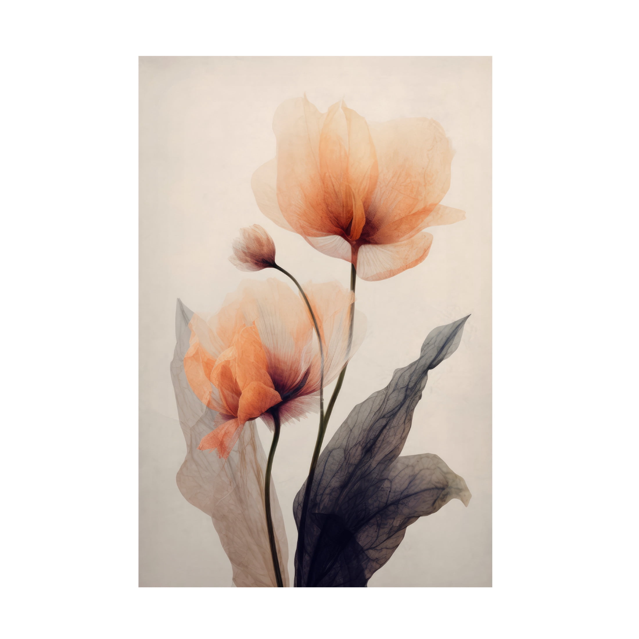 Canvas Wall Art - Treechild  'Parchmentflowersno6' Wall Art for Living Room, Bedroom, or Office Décor by Trademark Fine Art - 22 x 32 Inches
