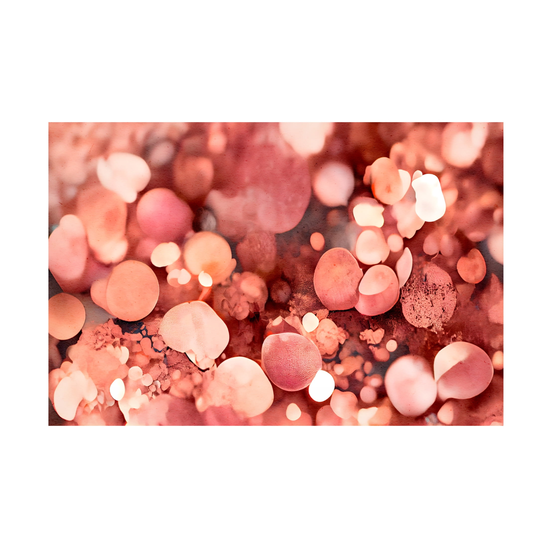 Canvas Wall Art - Treechild 'Rosy Sparkles' Wall Art for Living Room, Bedroom, or Office D?cor by Trademark Fine Art - 19 x 12 Inches