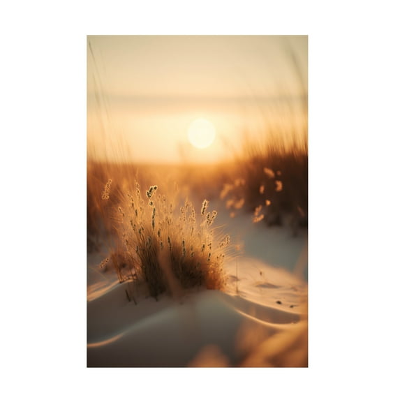 Canvas Wall Art - Treechild 'Sunset At The Beach' Wall Art for Living Room, Bedroom, or Office D?cor by Trademark Fine Art - 12 x 19 Inches