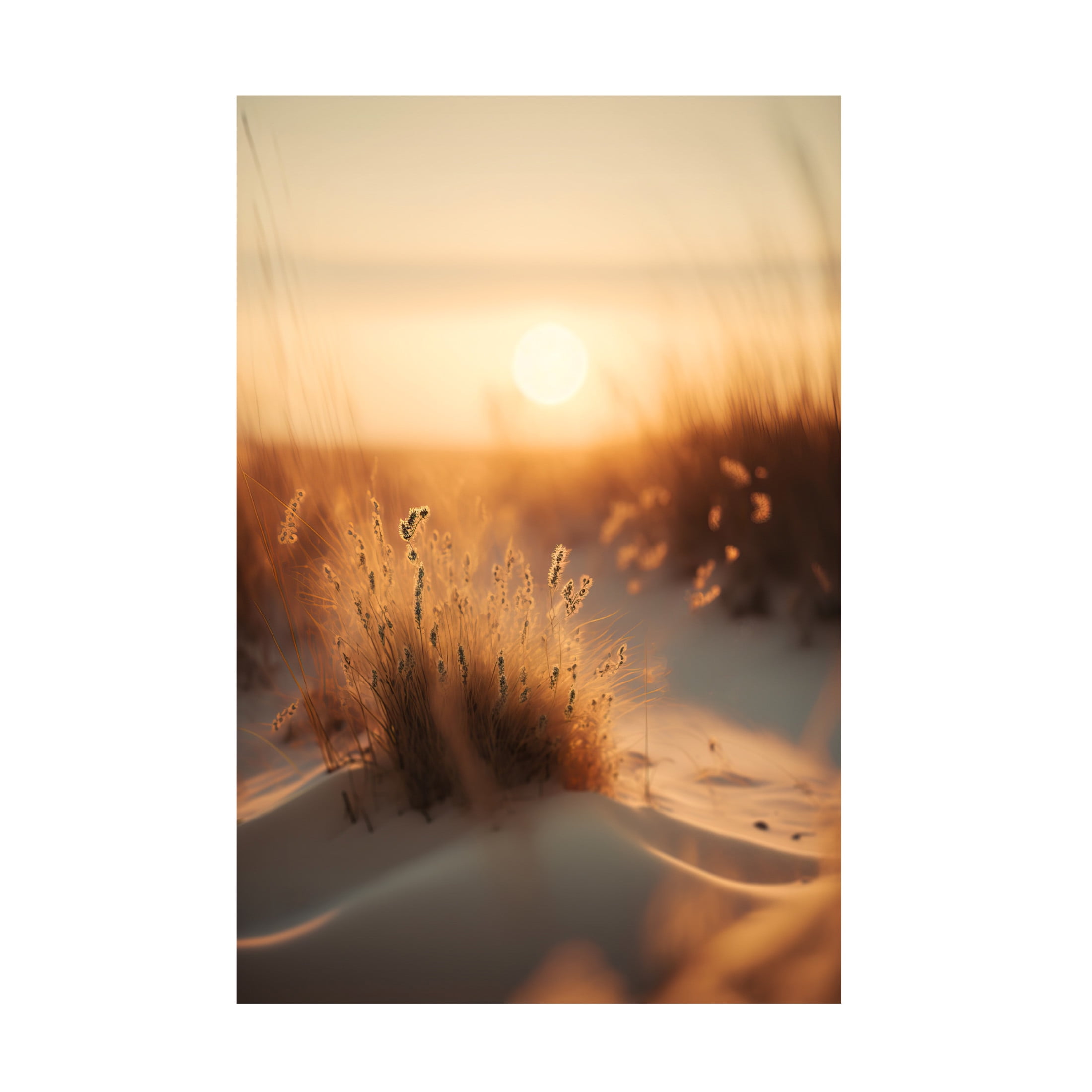 Canvas Wall Art - Treechild 'Sunset At The Beach' Wall Art for Living Room, Bedroom, or Office D?cor by Trademark Fine Art - 30 x 47 Inches
