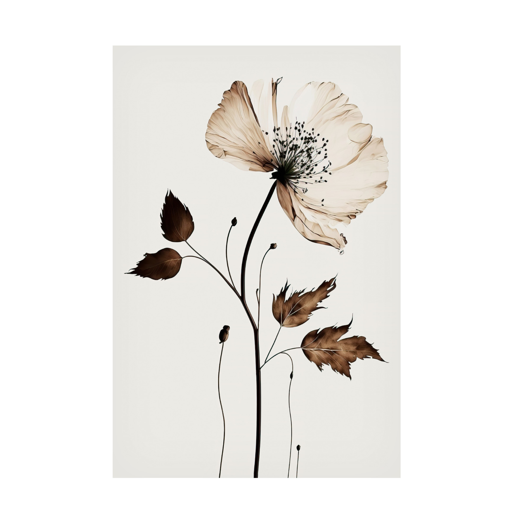 Canvas Wall Art - Treechild 'The Coffee Flower' Wall Art for Living Room, Bedroom, or Office D?cor by Trademark Fine Art - 30 x 47 Inches
