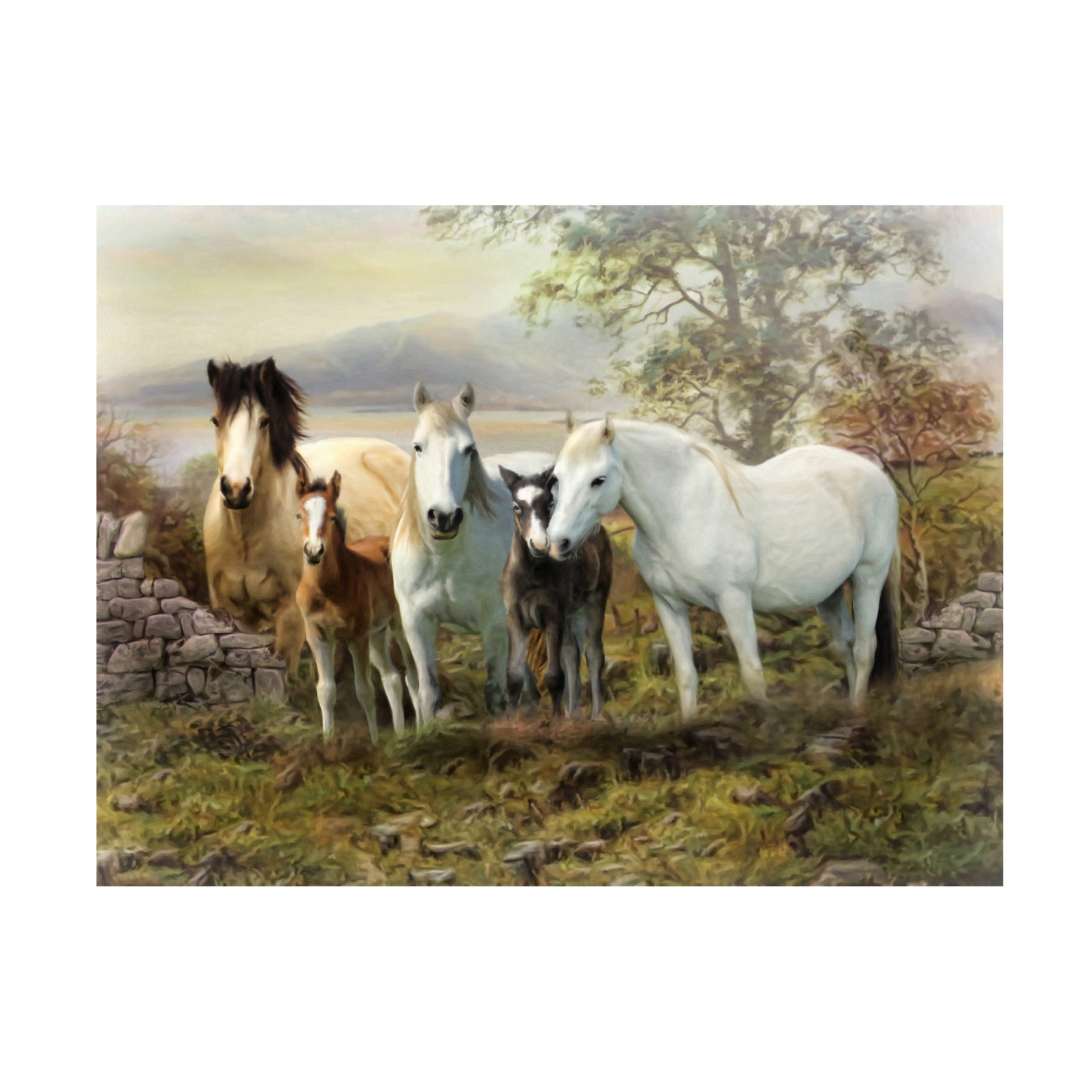 Canvas Wall Art - Trudi Simmonds 'Connemara Ireland' Wall Art for Living Room, Bedroom, or Office Décor by Trademark Fine Art - 19 x 14 Inches