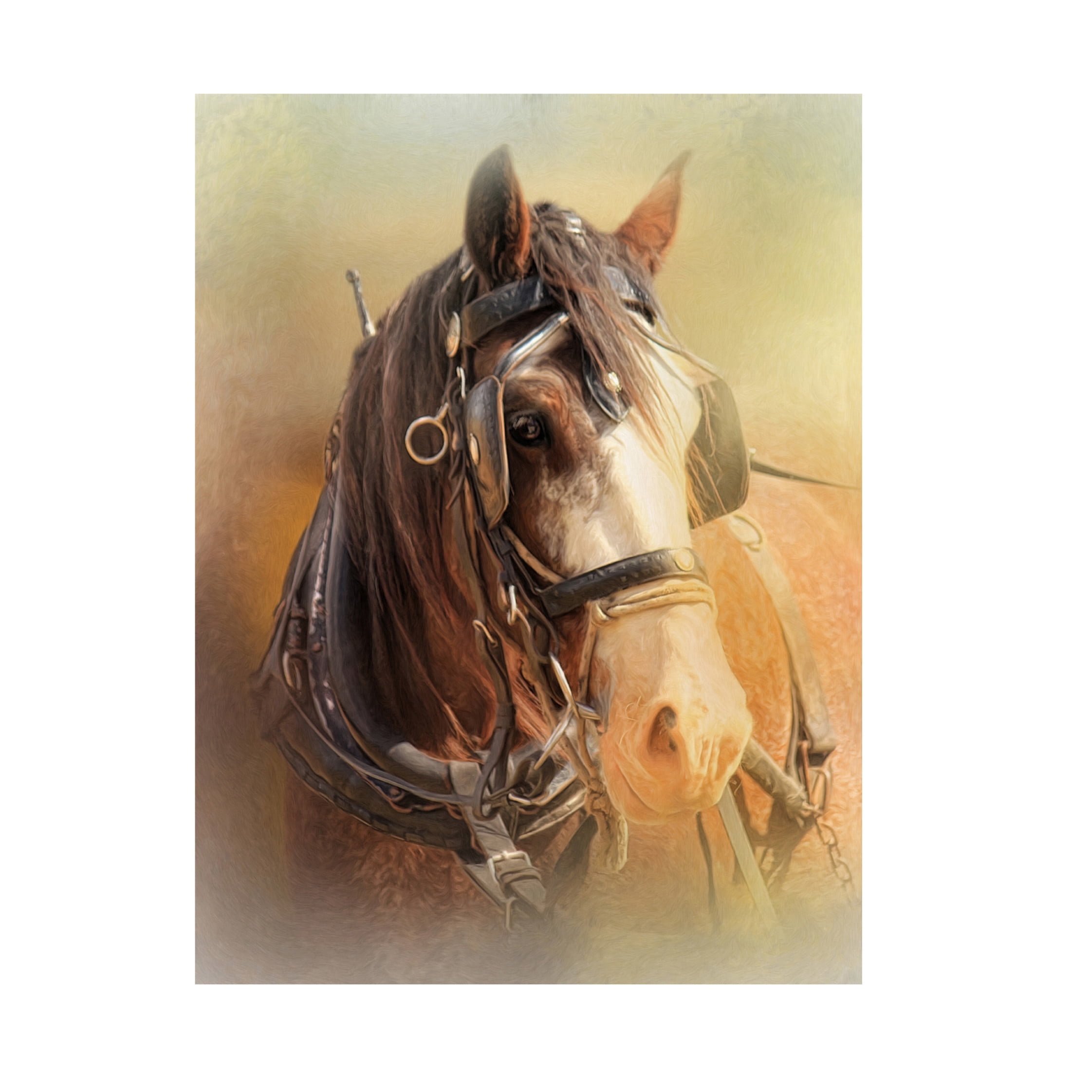 Canvas Wall Art - Trudi Simmonds 'Days in the Sun' Wall Art for Living Room, Bedroom, or Office Décor by Trademark Fine Art - 35 x 47 Inches