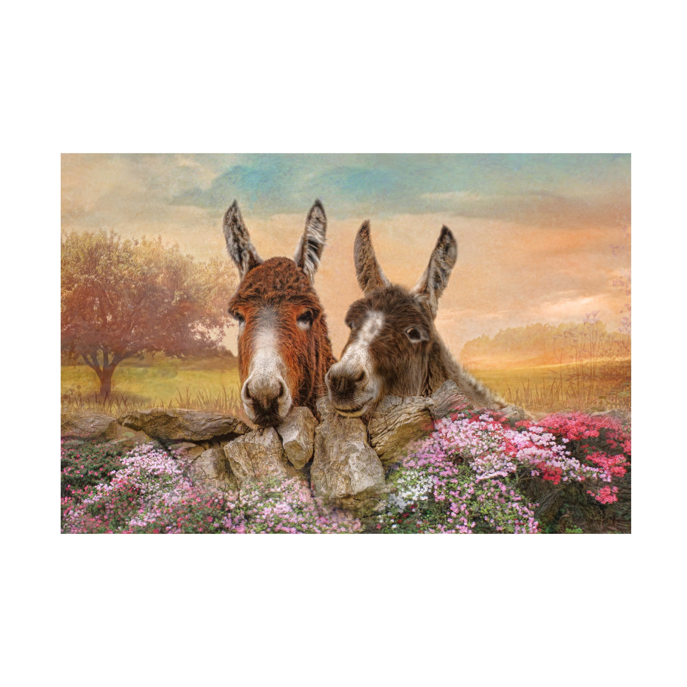 Canvas Wall Art - Trudi Simmonds 'Donkey Duo' Wall Art for Living Room, Bedroom, or Office DÃ©cor by Trademark Fine Art - 24 x 16 Inches