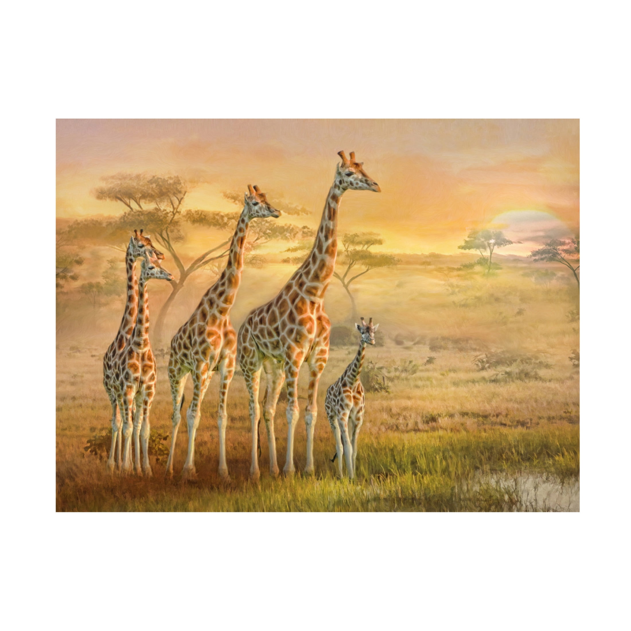 Canvas Wall Art - Trudi Simmonds 'Giraffe Family' Wall Art for Living Room, Bedroom, or Office Décor by Trademark Fine Art - 47 x 35 Inches
