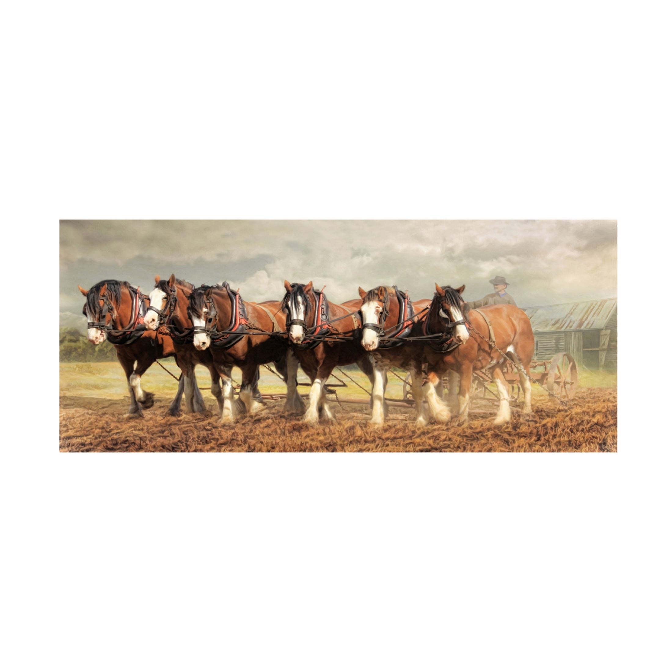 Canvas Wall Art - Trudi Simmonds 'Horse Power' Wall Art for Living Room, Bedroom, or Office Décor by Trademark Fine Art - 32 x 14 Inches