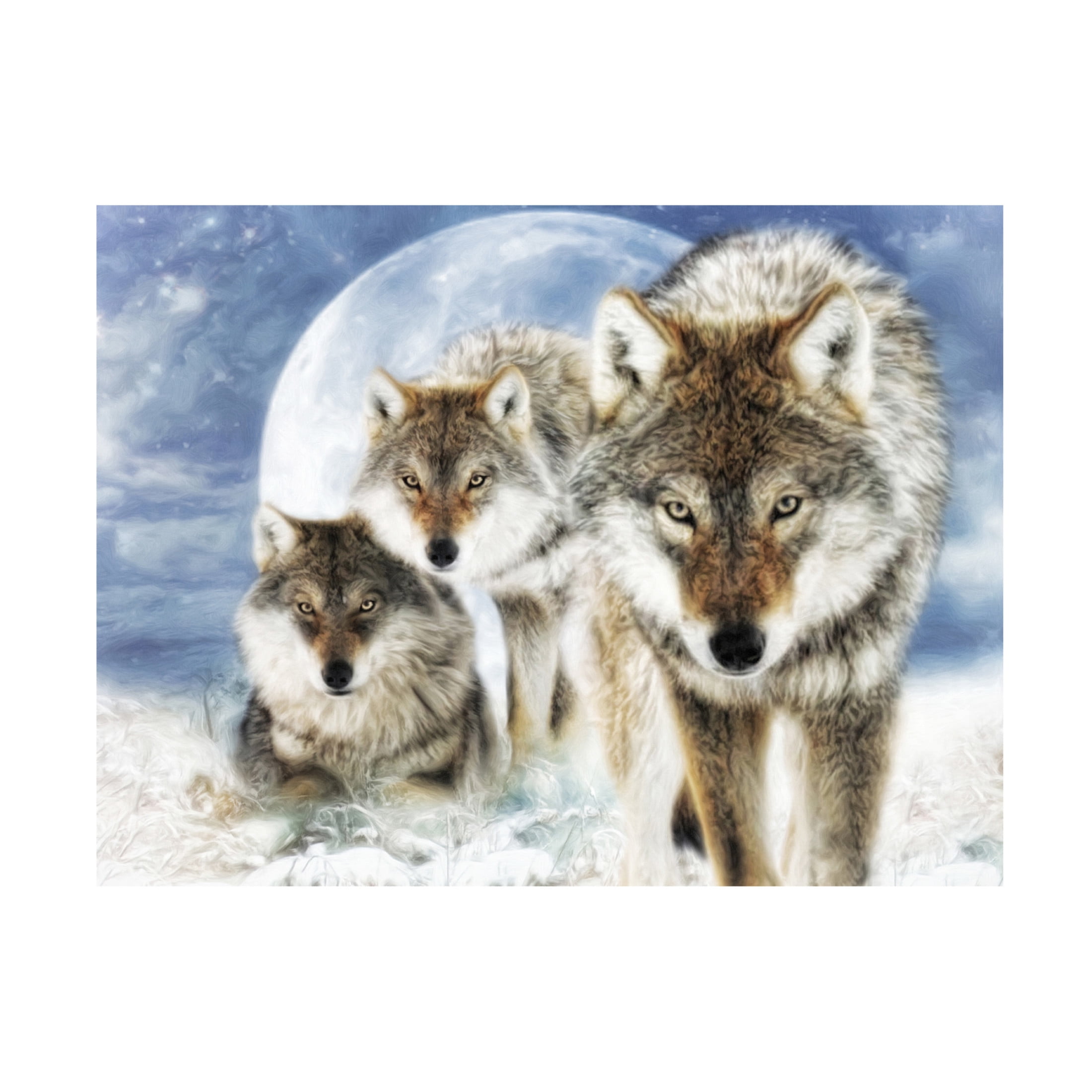 Canvas Wall Art - Trudi Simmonds 'Juxtapose' Wall Art for Living Room, Bedroom, or Office Décor by Trademark Fine Art - 47 x 35 Inches