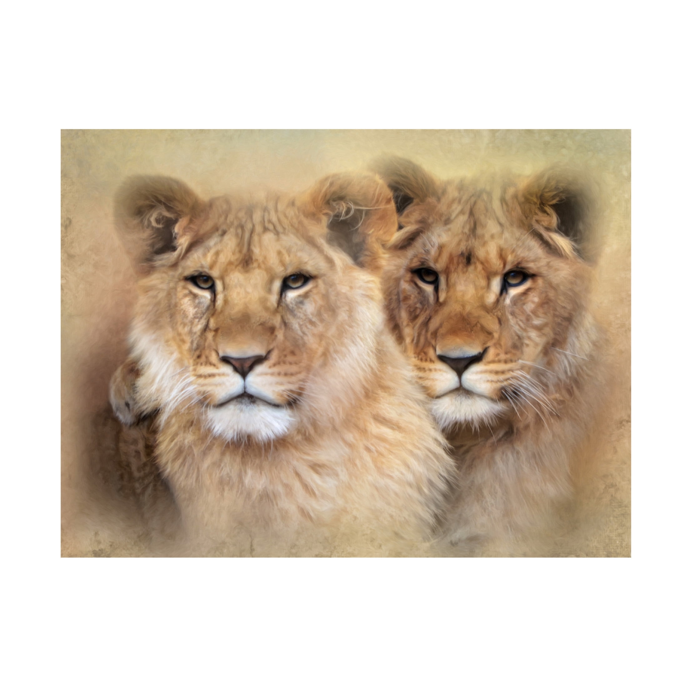 Canvas Wall Art - Trudi Simmonds 'Little Lions' Wall Art for Living Room, Bedroom, or Office Décor by Trademark Fine Art - 24 x 18 Inches